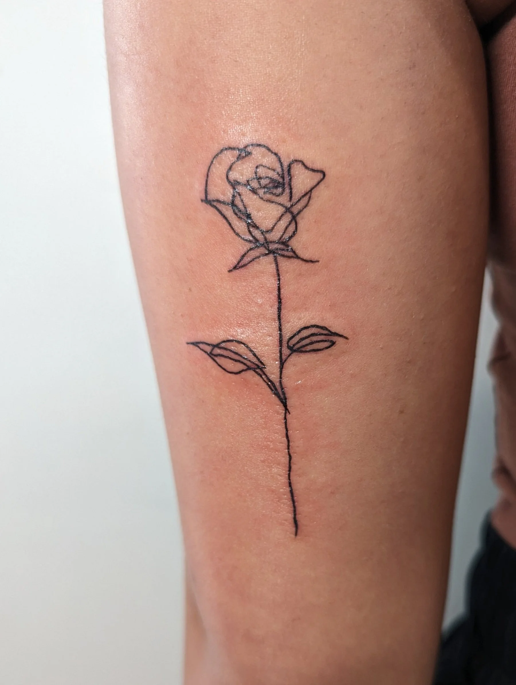 Storyline Ink Tattoo Studio