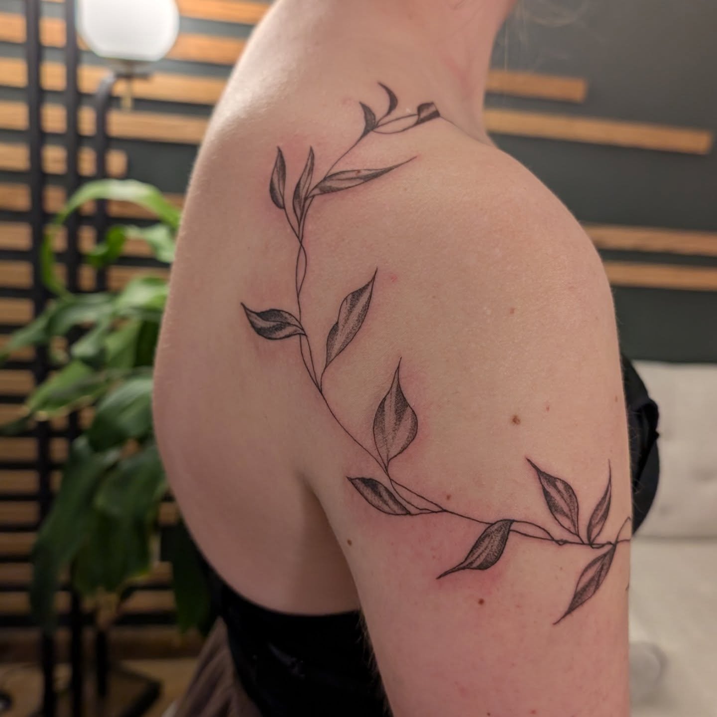 :: Freehand Vine :: 

 This piece was a dream to do, my client was incredible and so kind. I'm excited to share the story behind this tattoo! You'll have to hop over to Storyline Inks insta tomorrow to hear all about it :) 

#storylineinktattoos #tat
