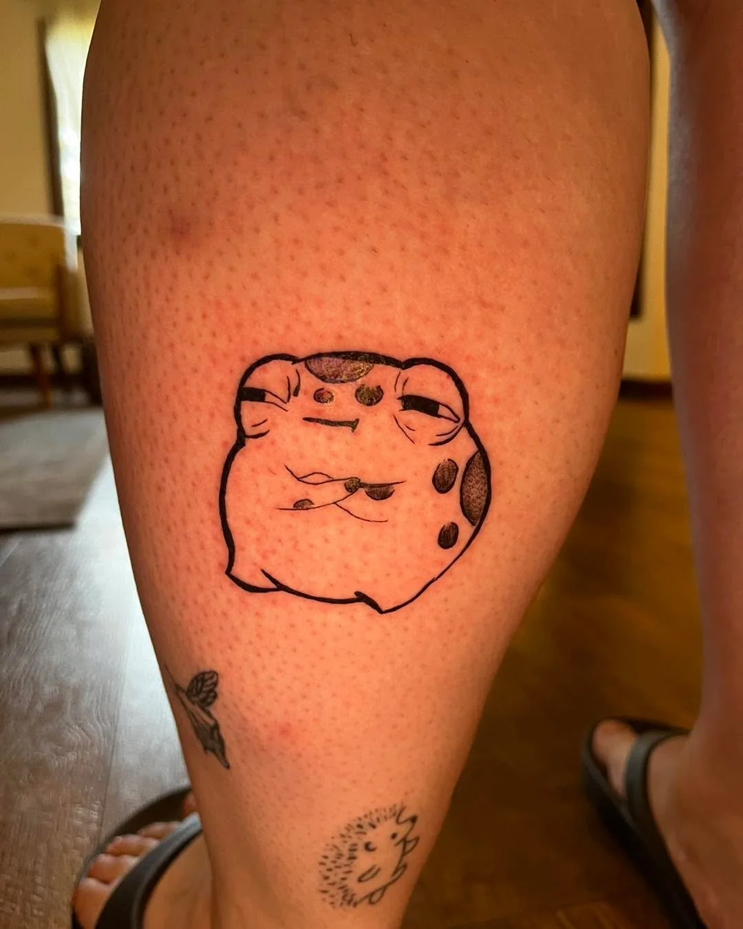 Grumpy Frog🐸

What&rsquo;s your favorite animal?