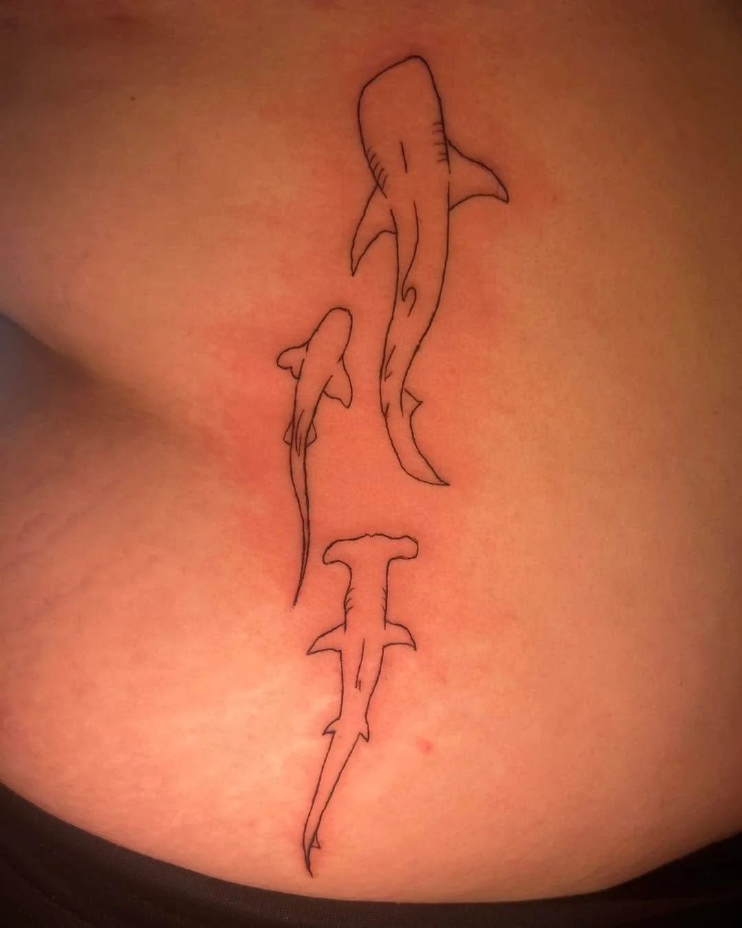 Shark tattoo! What is your favorite animal?!