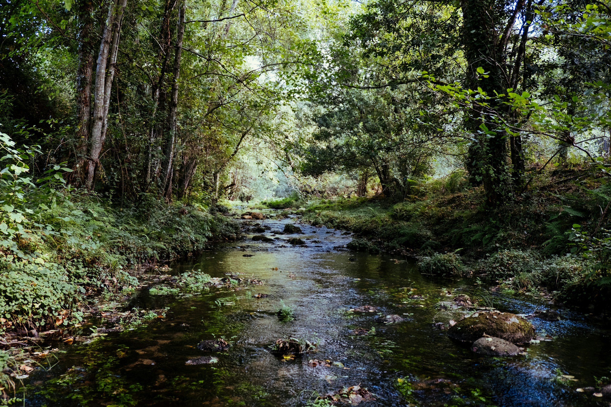 There Is No Other Stream