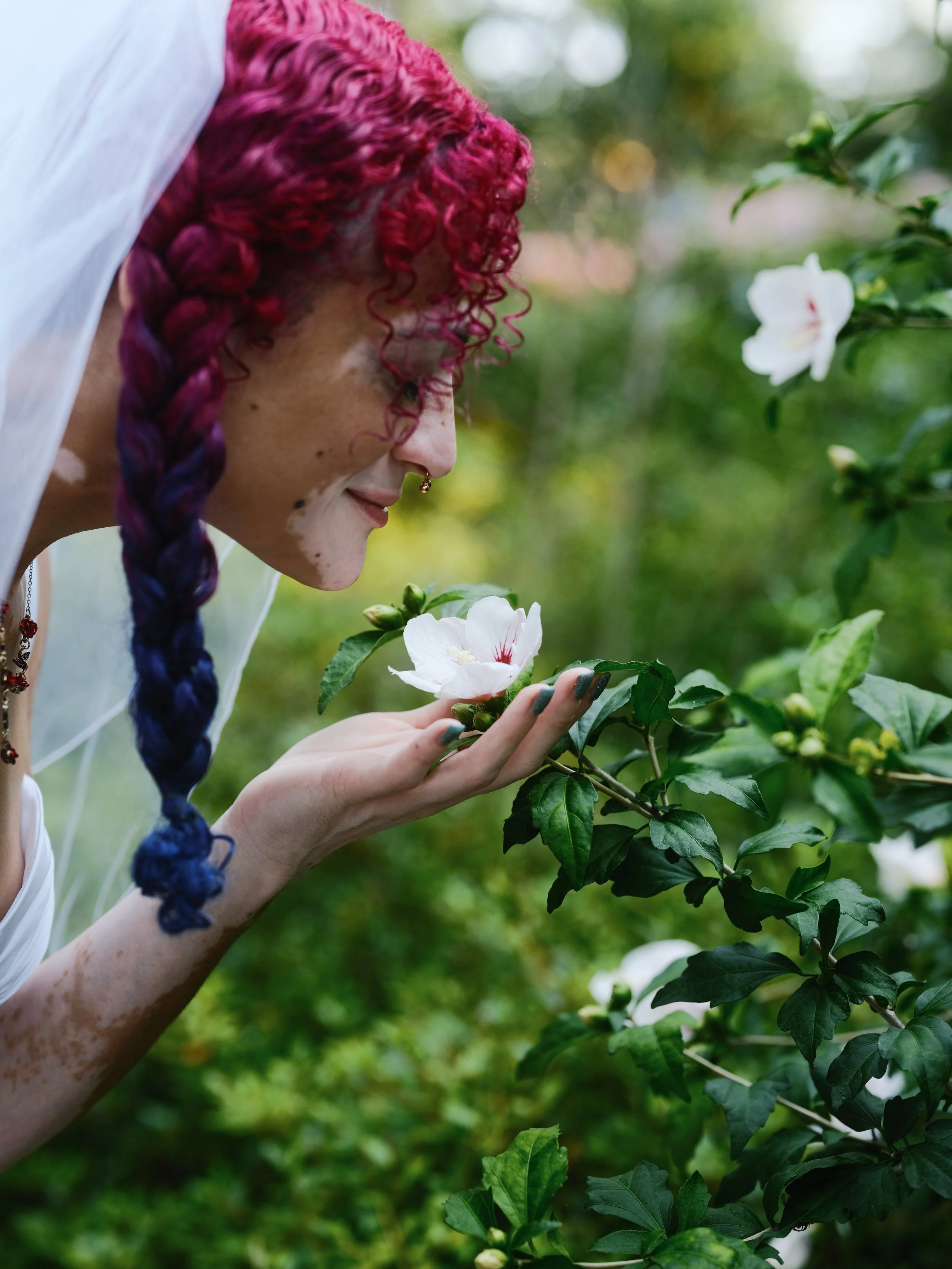 azalea garden-06.jpg