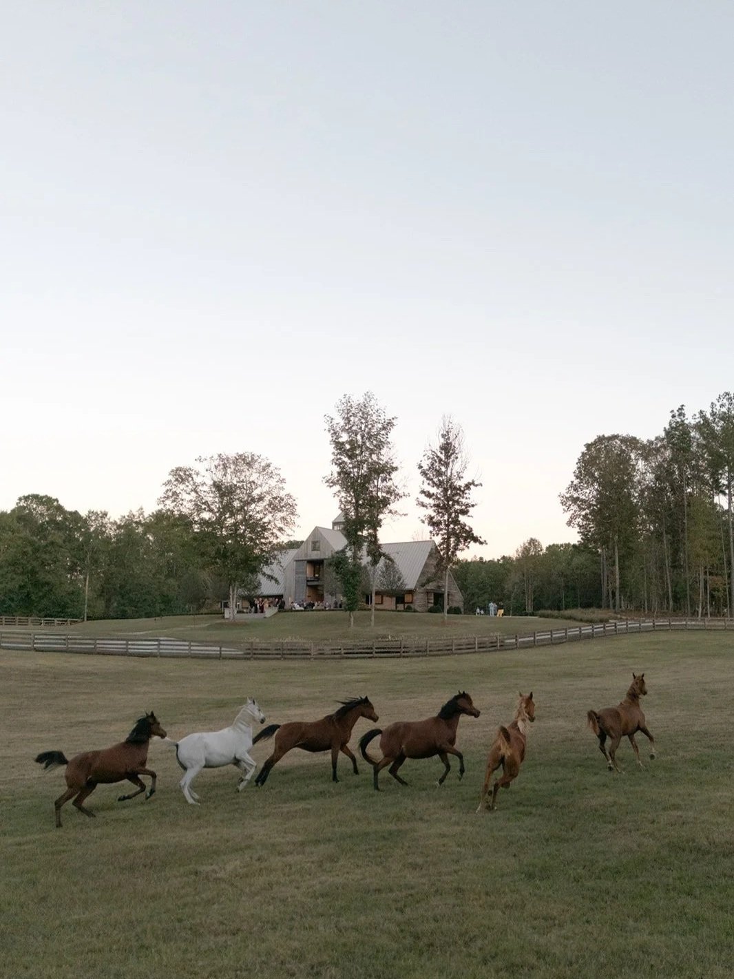 SARDIS | Chattahoochee Hills, Georgia