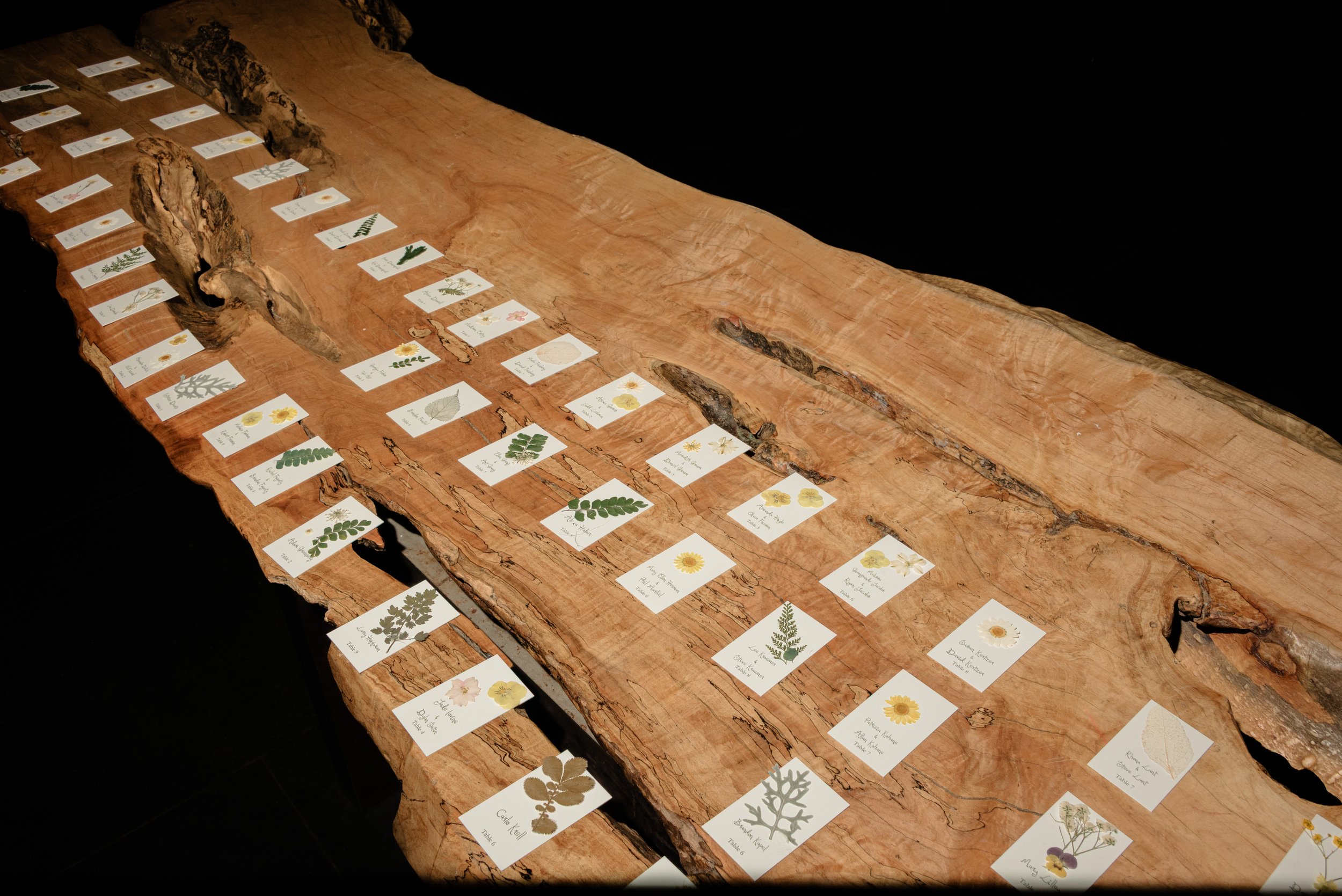 Handwritten botanical escort cards arranged across a natural live-edge wood table for Jennie and Will’s Blue Hill at Stone Barns wedding.