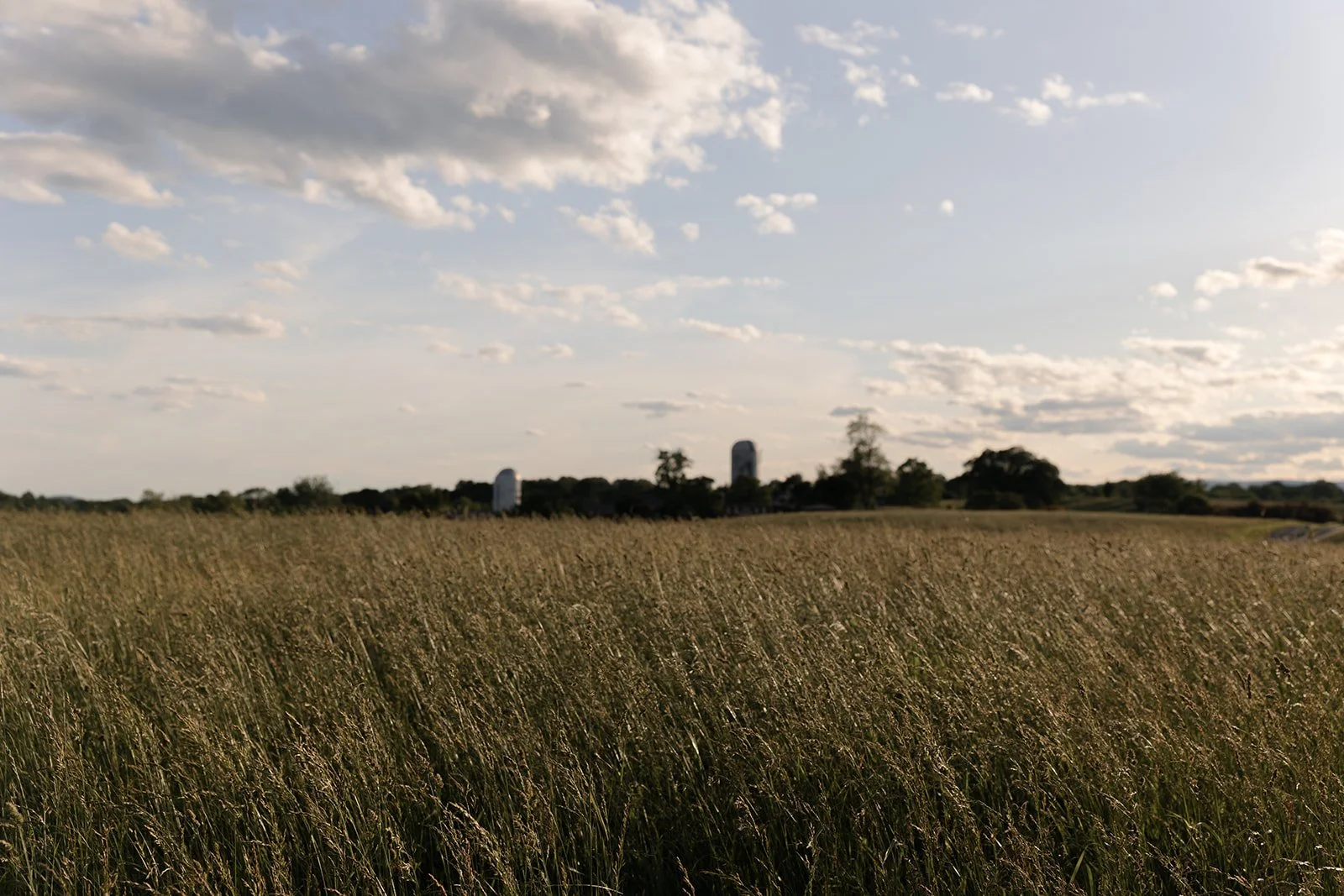 Open Hayfield landscape beneath a dramatic spring sky at Goodstone Inn in Middleburg, Virginia.