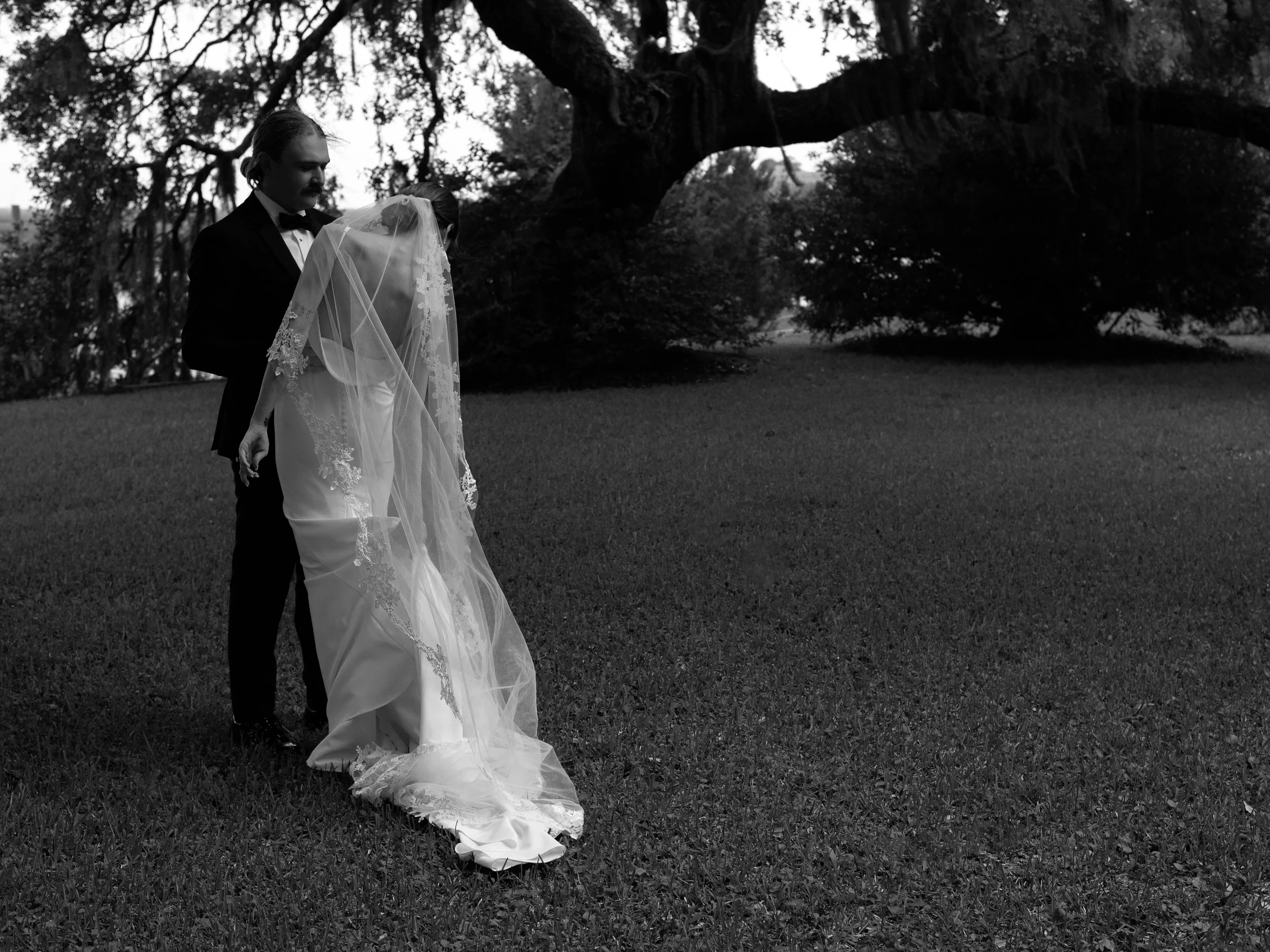 Black-and-white editorial wedding portrait of a bride and groom standing beneath a sprawling oak tree. with Spanish moss.