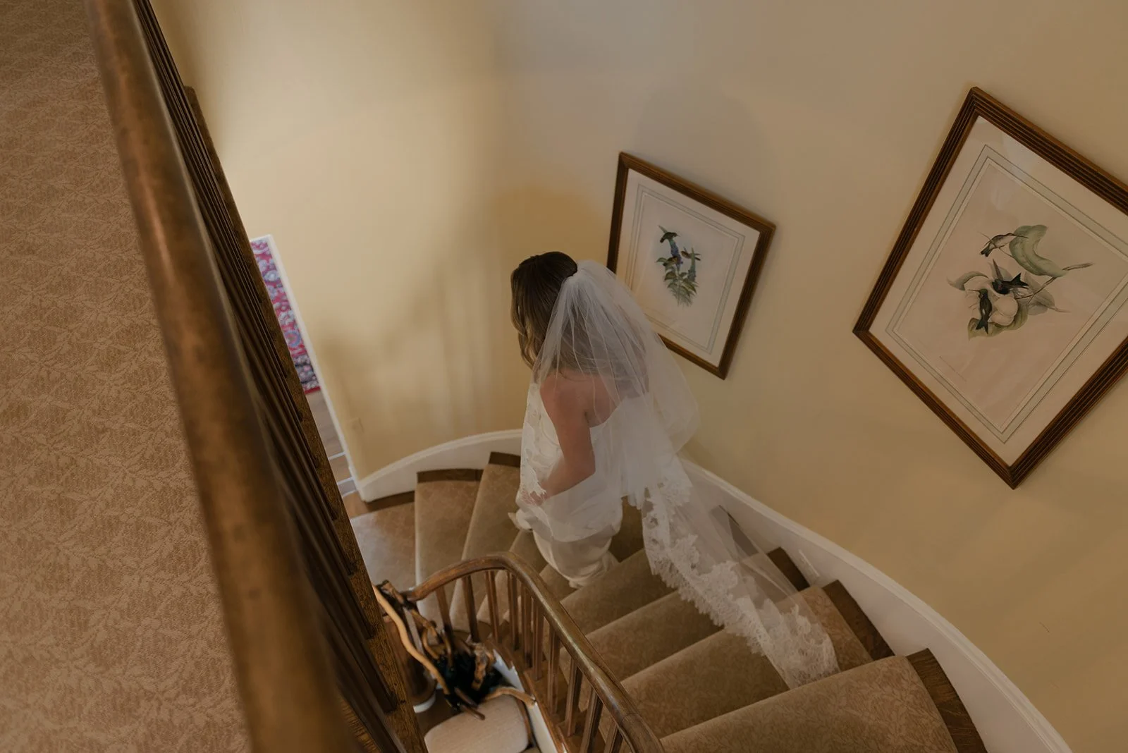 Bride in her wedding gown descends the staircase in the Manor House at Goodstone Inn.