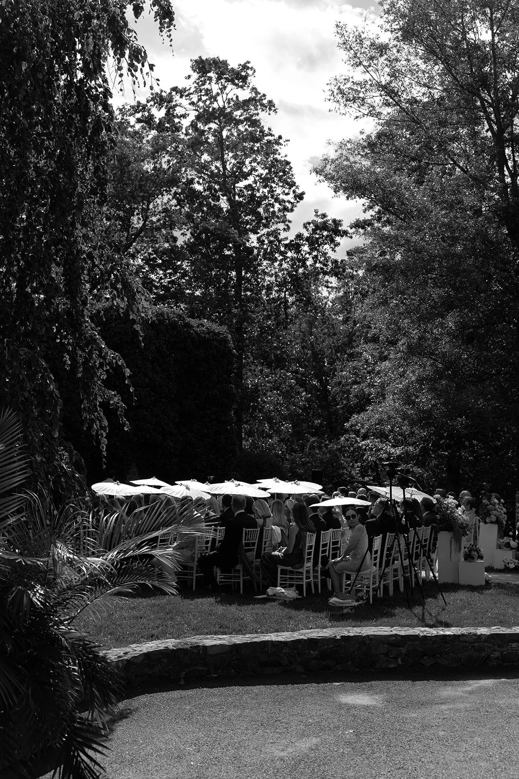Black-and-white view of wedding guests seated with white parasols at the outdoor ceremony at Goodstone Inn.