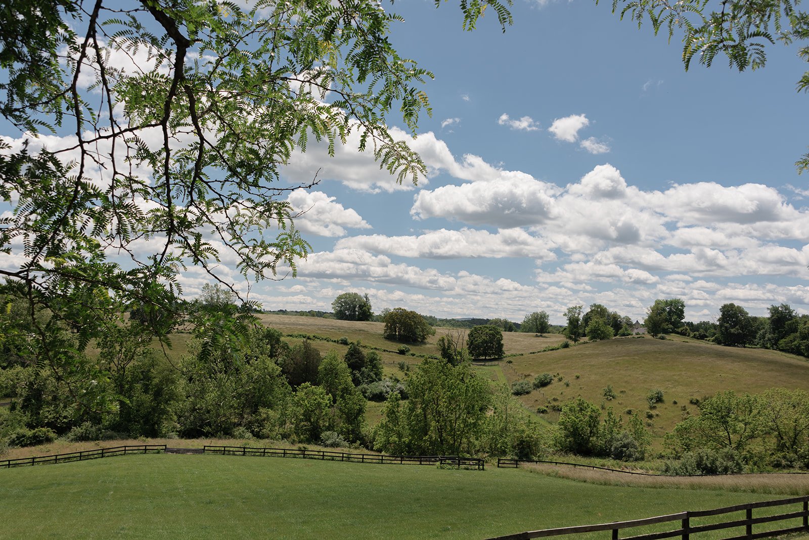 Rolling green hills and spring landscape beneath a blue sky at Goodstone Inn in Middleburg, Virginia.