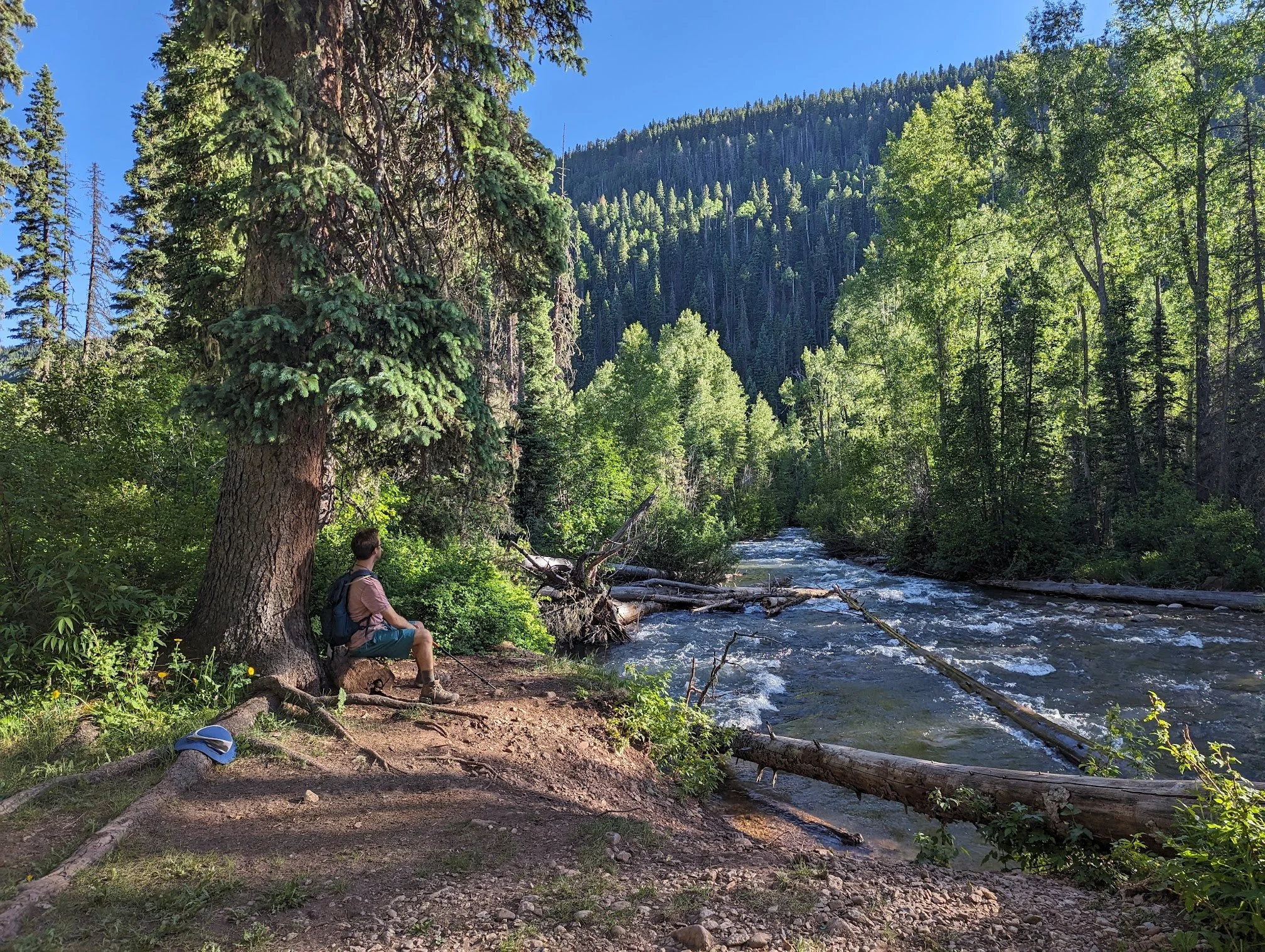 Dennis sitting on a log next to a large tree and river in Colorado