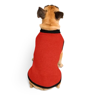Red Knitted Pet Sweater
