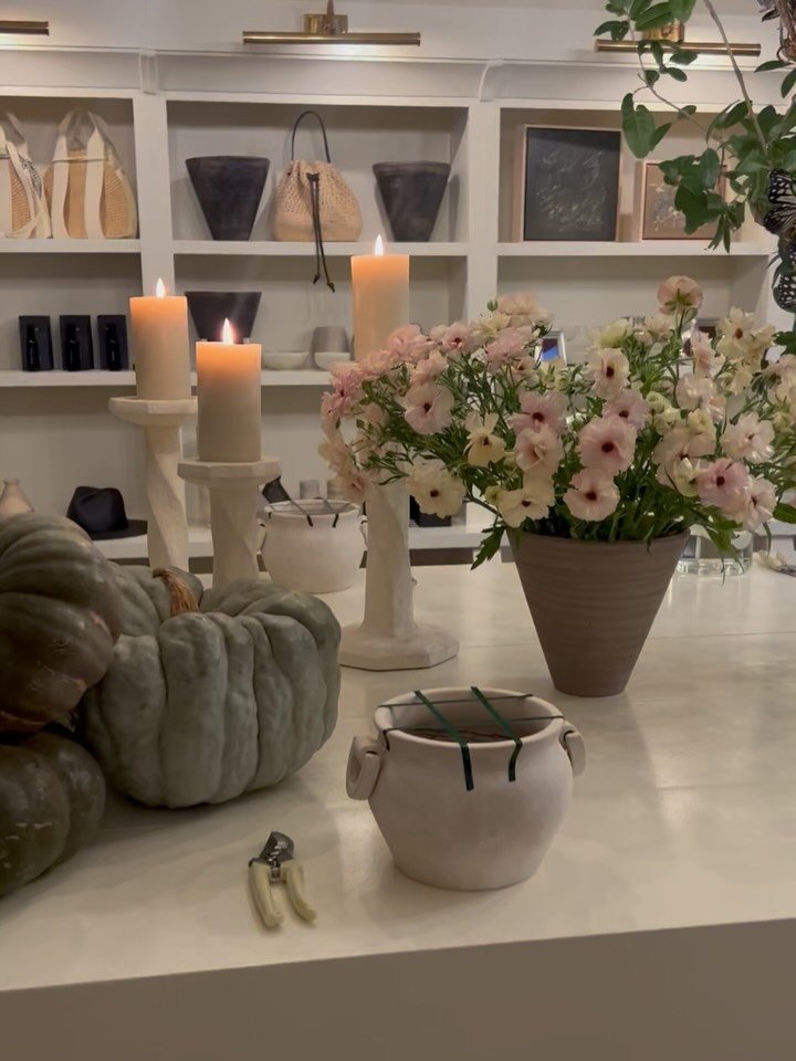 recent camera roll beauties