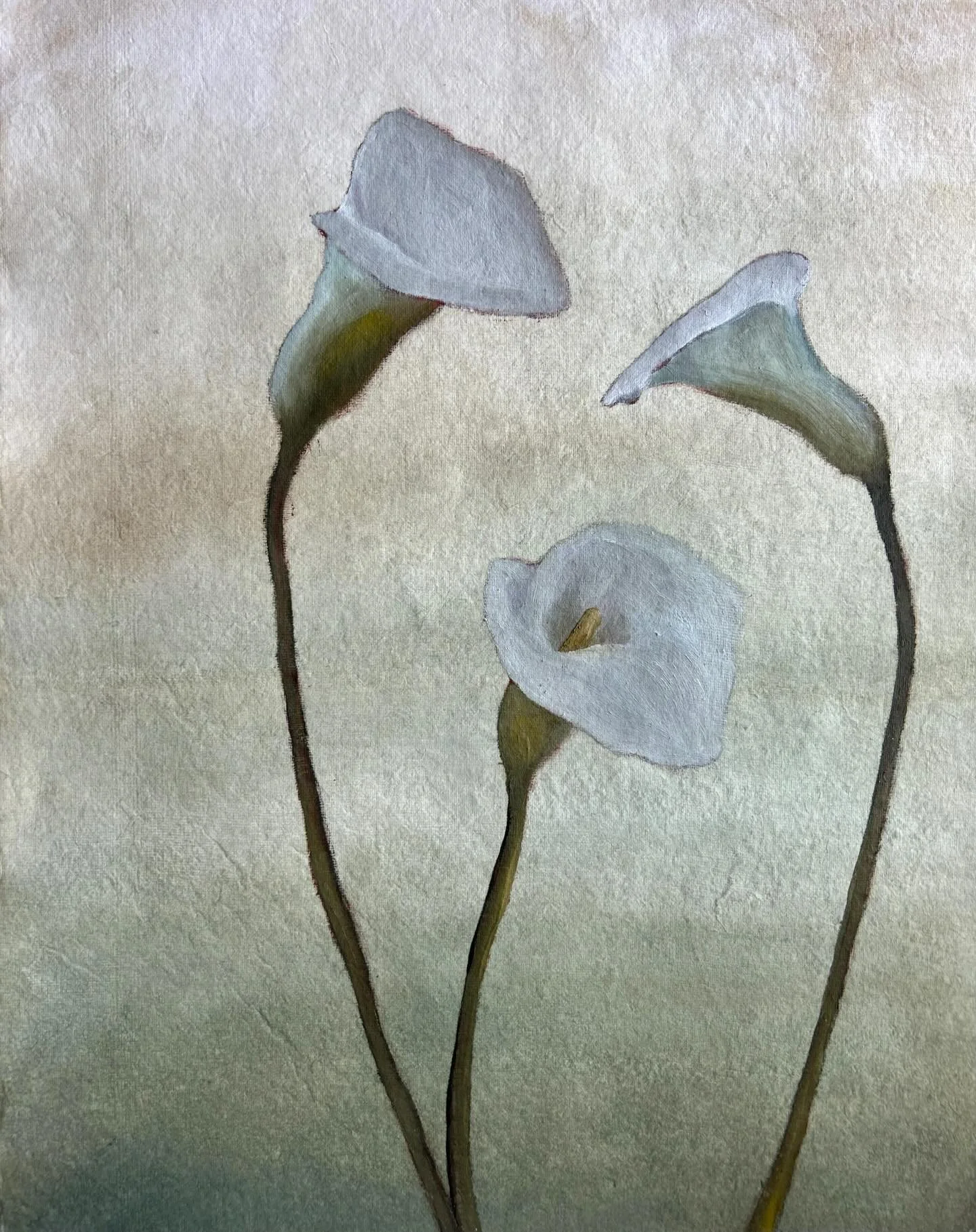 something about the richness of oil paint against a soft ink gradient background made these callas feel magical to me
✨