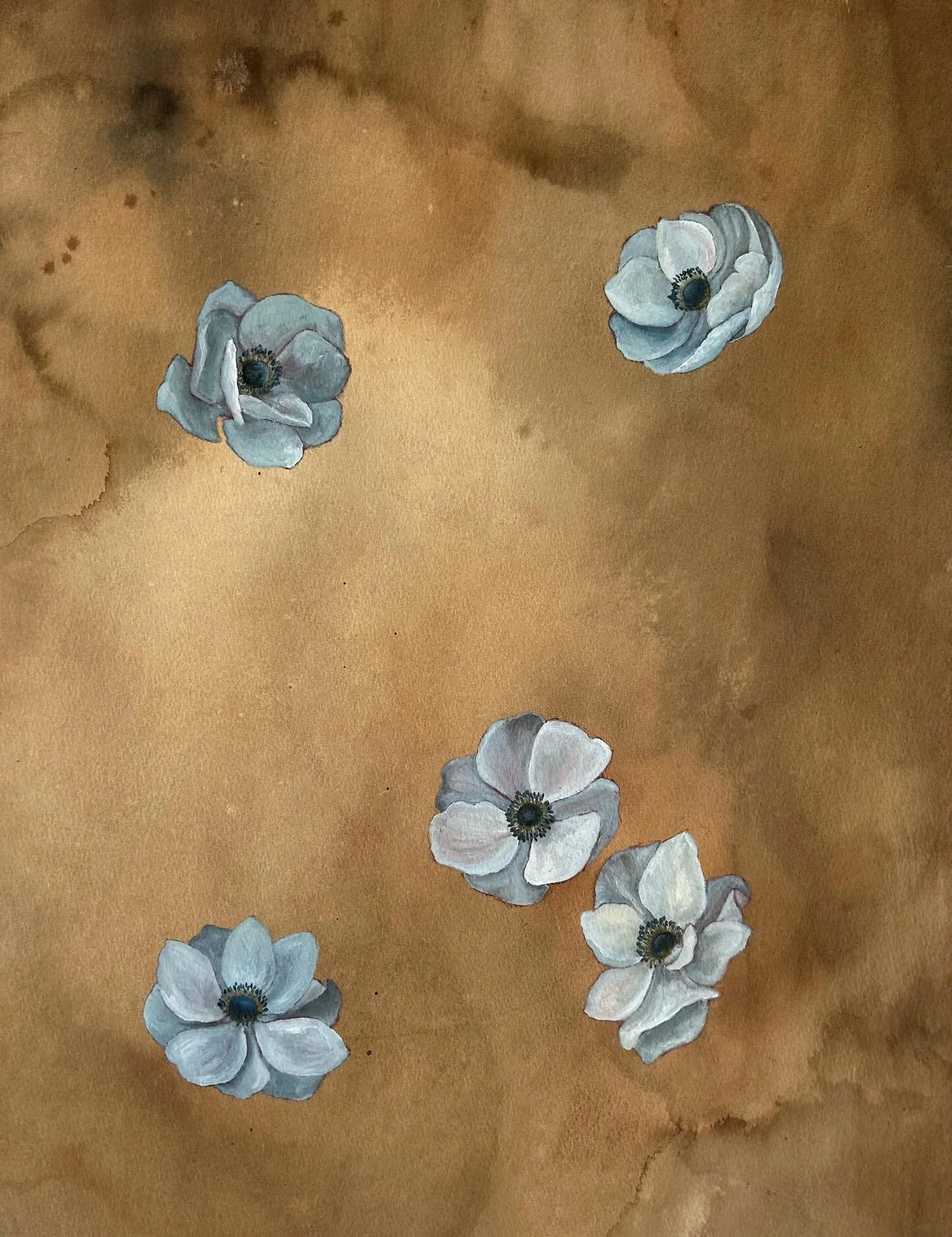 anemone floating around on ink &amp; coffee-stained 300 lb paper ☕️