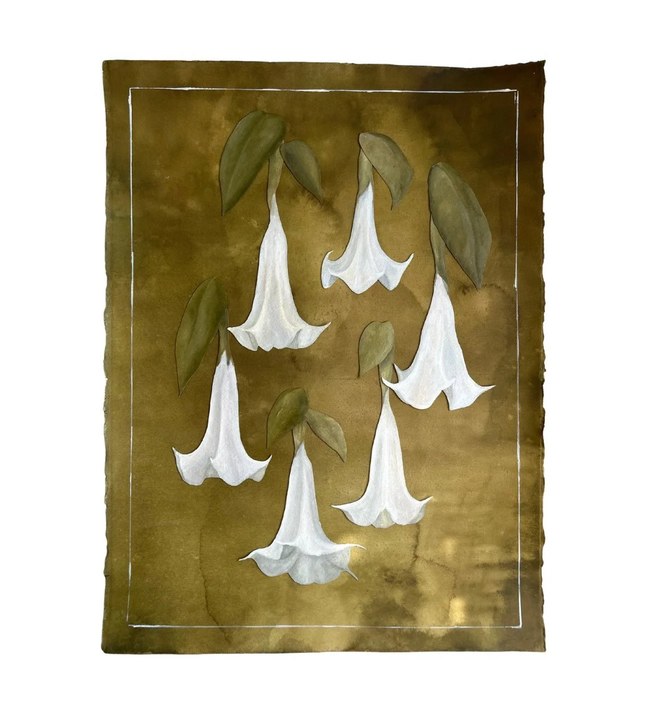22 x 30
Angel&rsquo;s trumpets painted with oil and secured to 300 lb paper stained with ink
Available on website