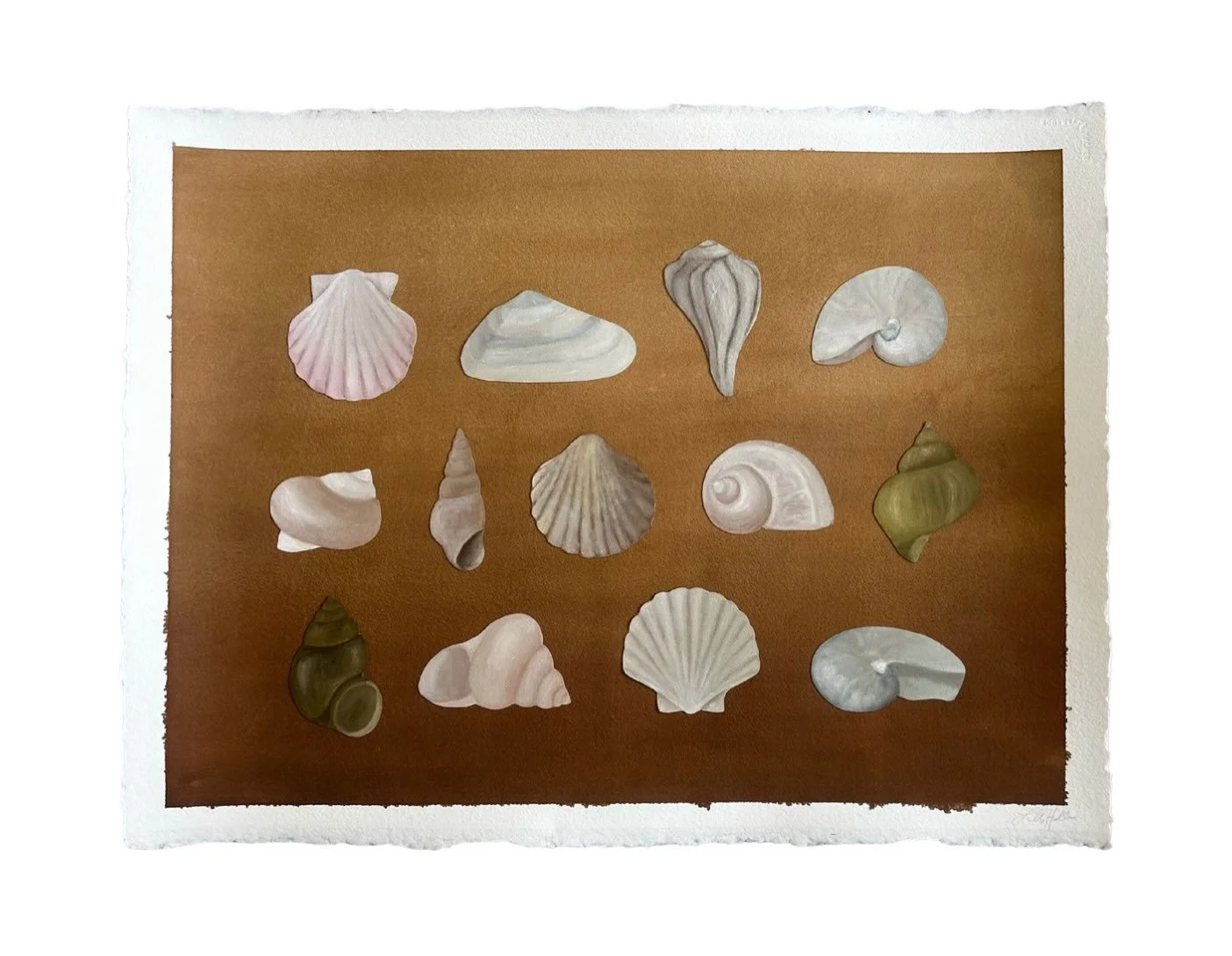 22 x 30 seashell collage | available on website now