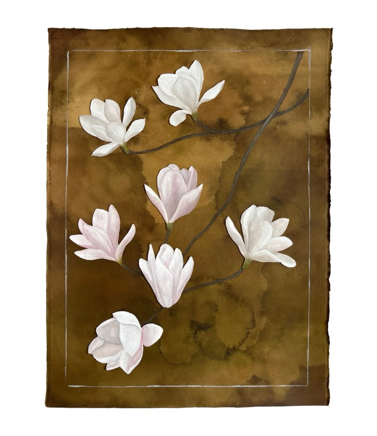 magnolias painted with oil and secured to 300 lb paper stained with coffee &amp; ink
22 x 30