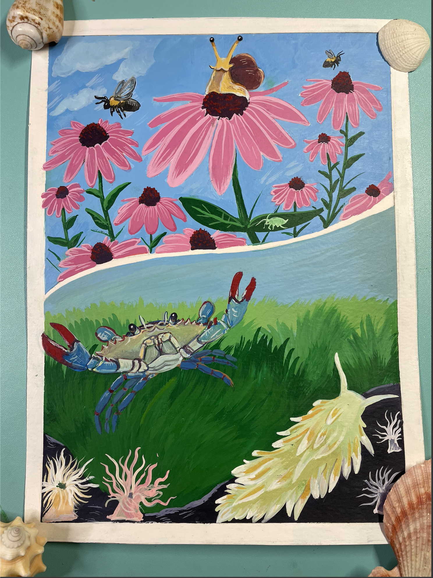 Chesapeake Bay invertebrates 9 x 12 Gouache