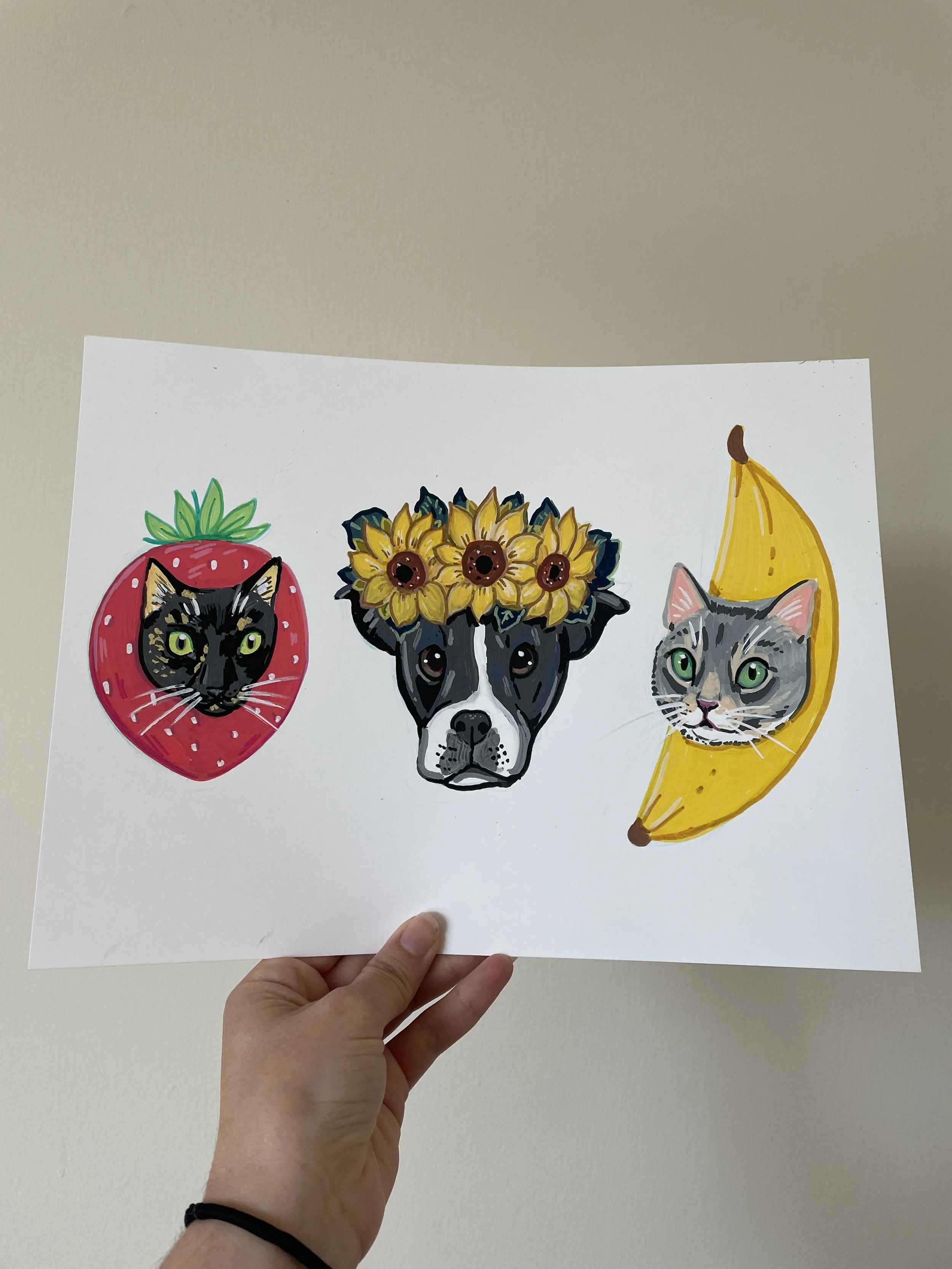 Cats and dog fruit theme 9 x 12 acrylic marker