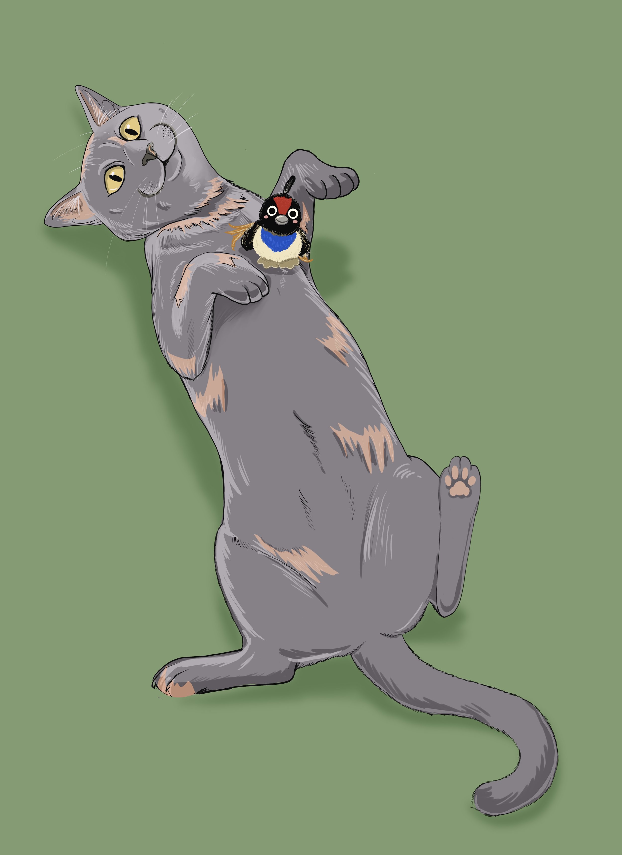 Diluted tortoise shell cat Digital Artwork