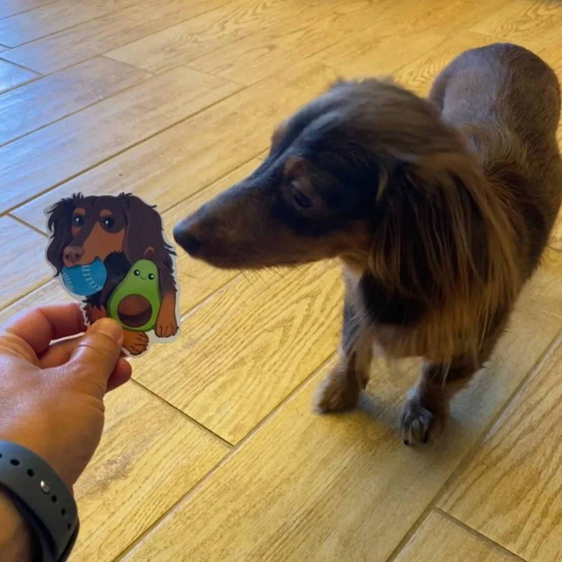 2 Kiwi and sticker.jpg