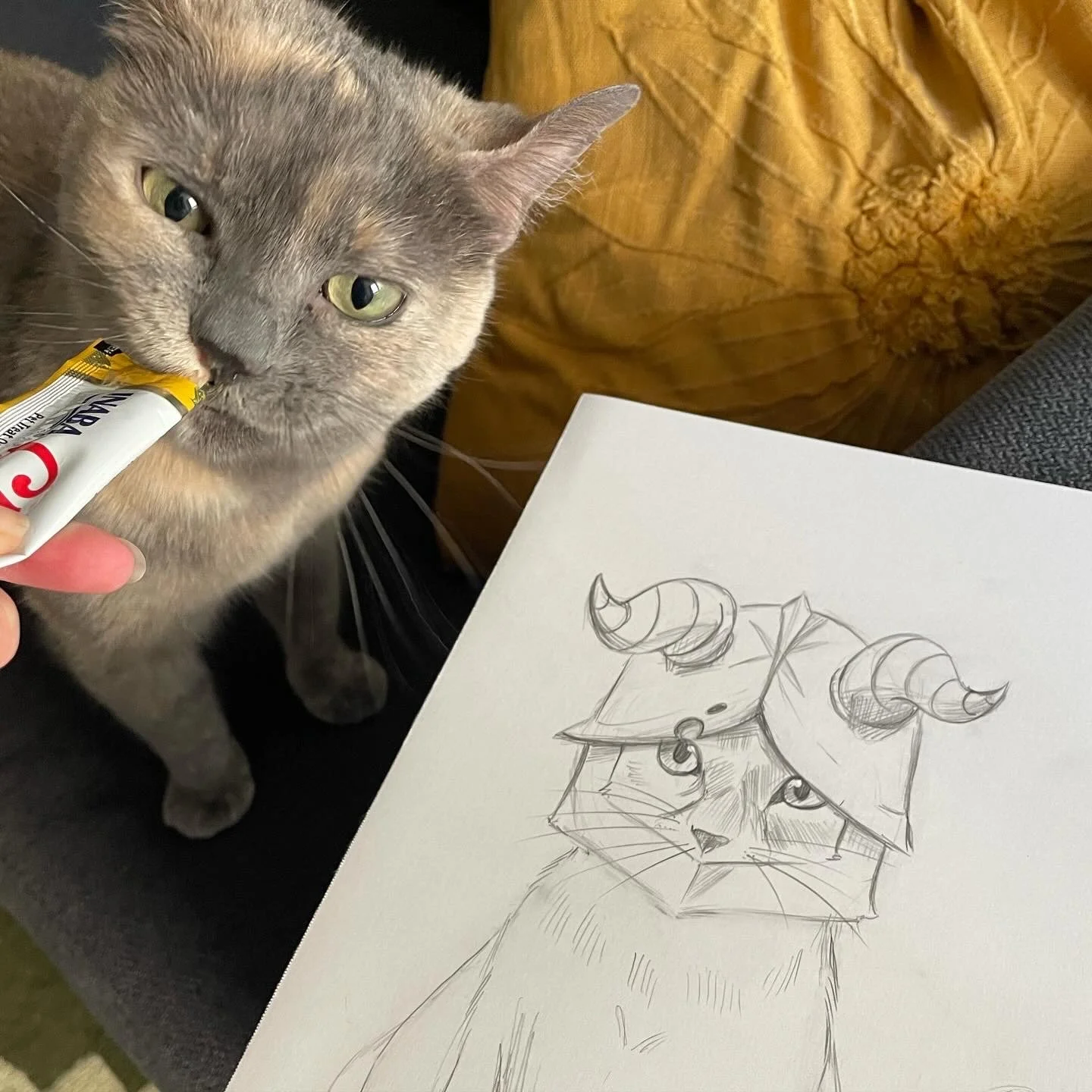 Diluted tortoise shell cat 7 x 10 pencil drawing Meowtel