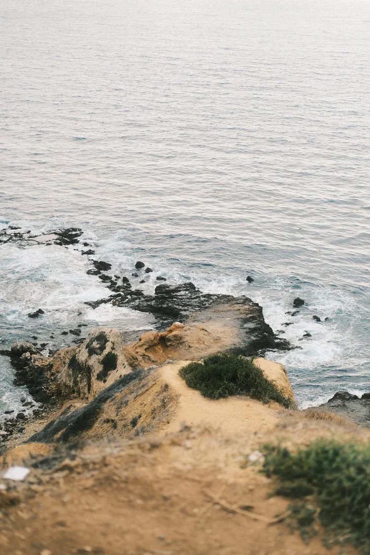 DSCF0692.webp