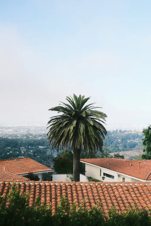 DSCF0667.webp