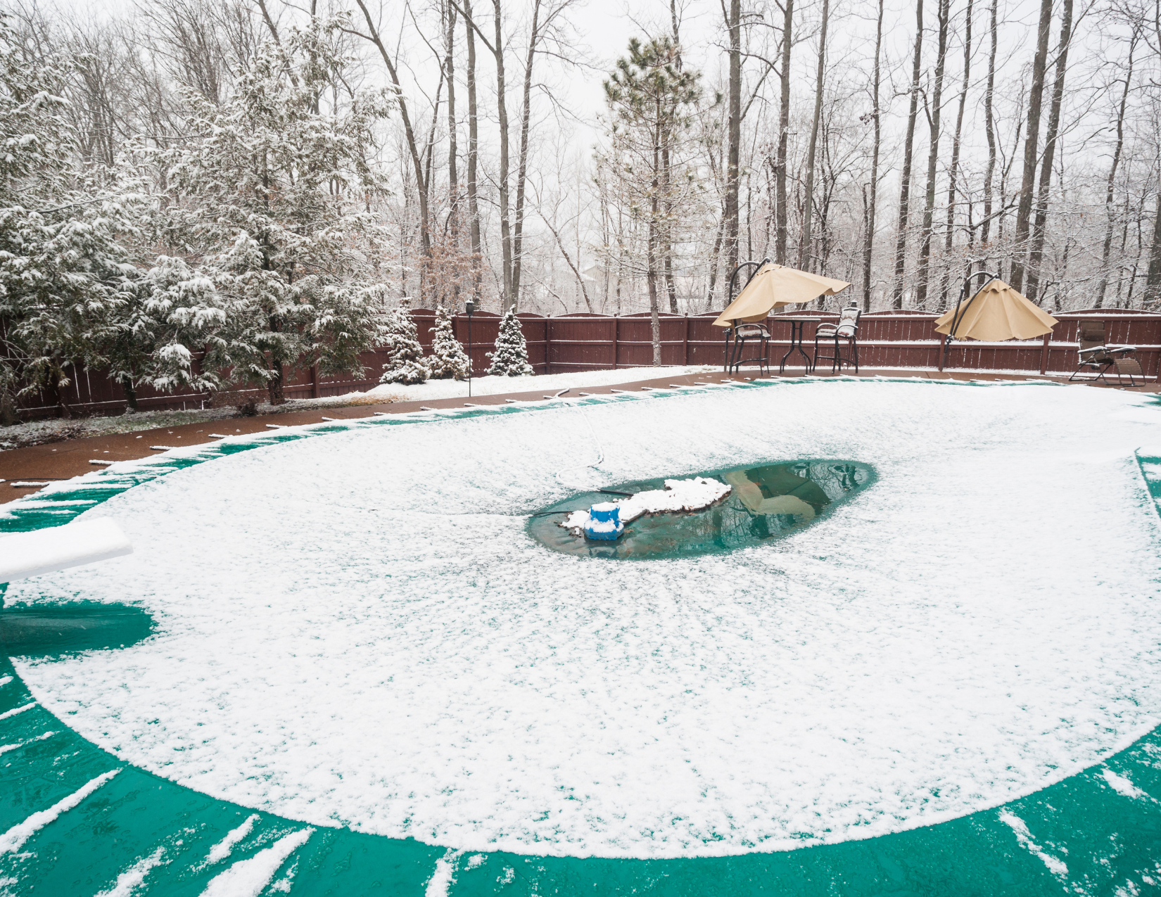 Get Your Pool Ready for Winter with Expert Pool Maintenance Near Me