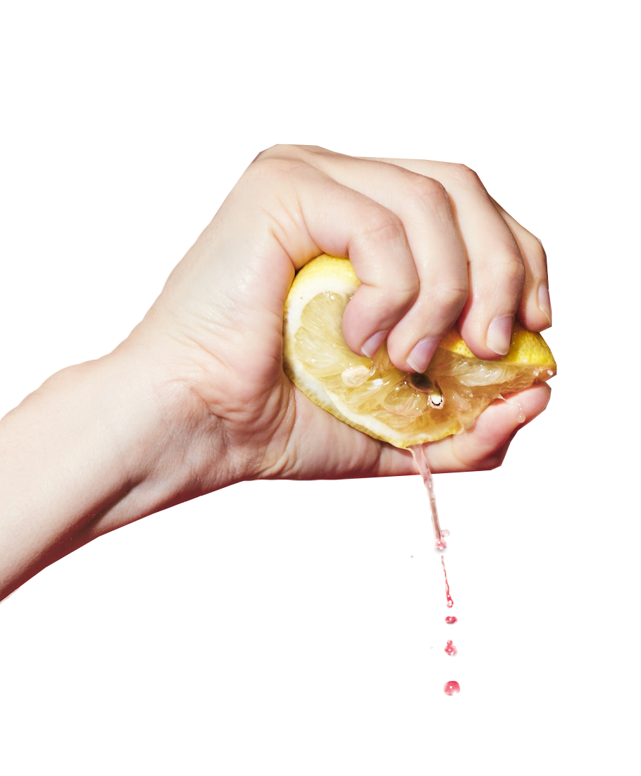 Best Day Brewing — Sipland