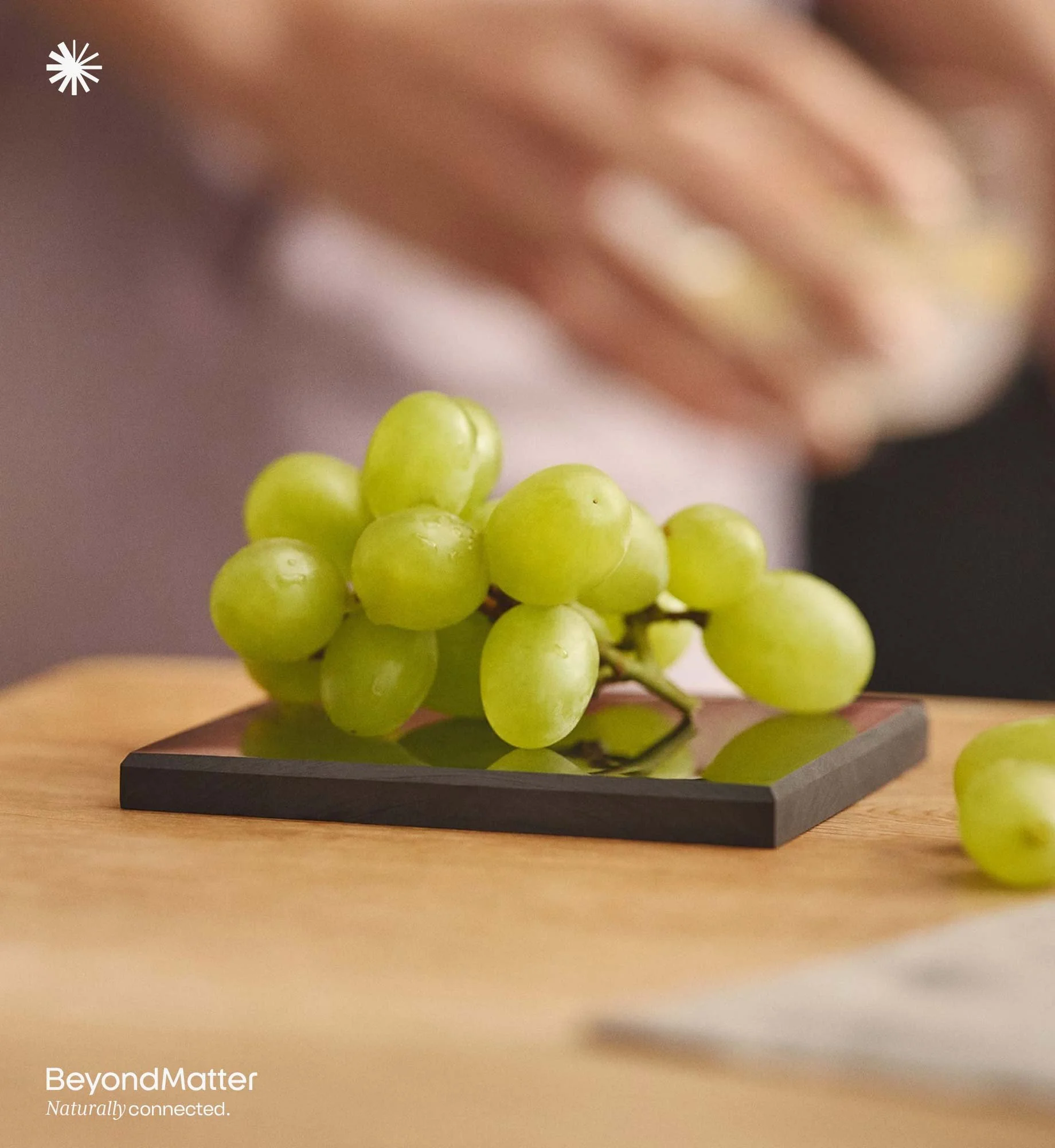 Lebensmittelplatte Lotte - Zur Belebung von Nahrung