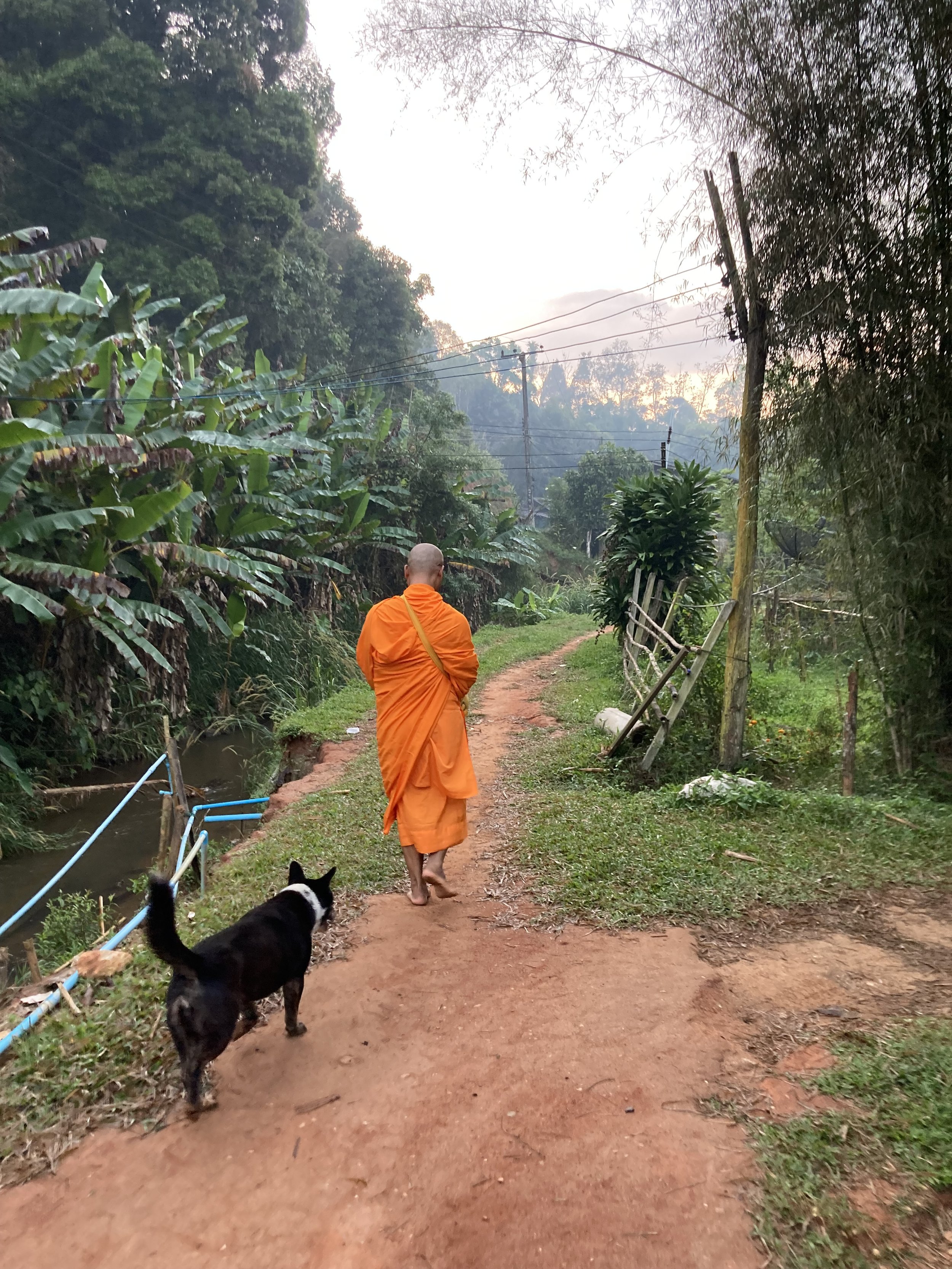 Mae Taeng, Thailand