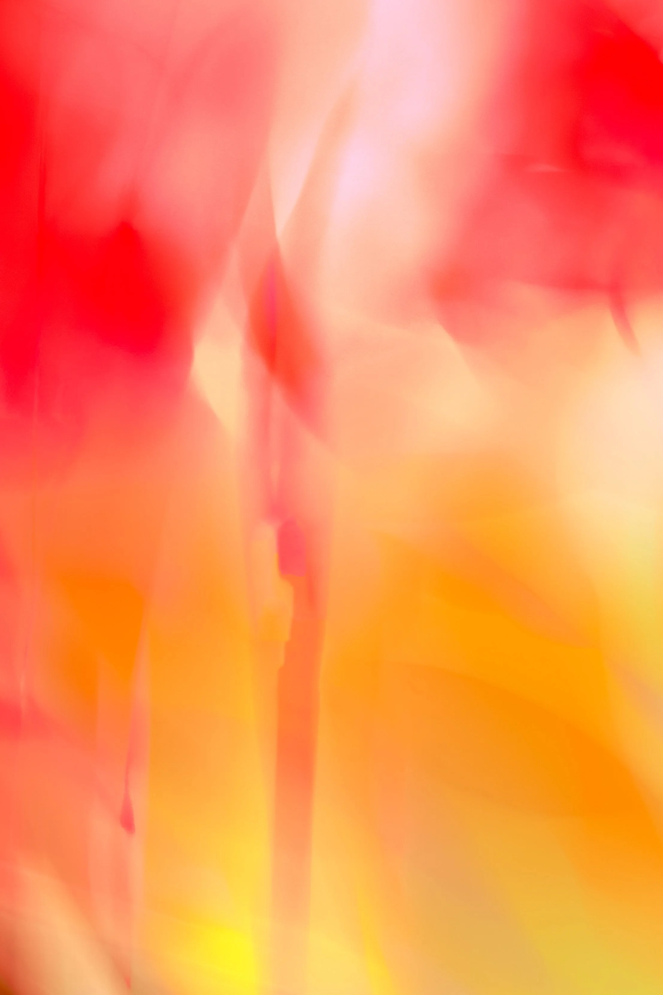 ICM Collection-26.jpg
