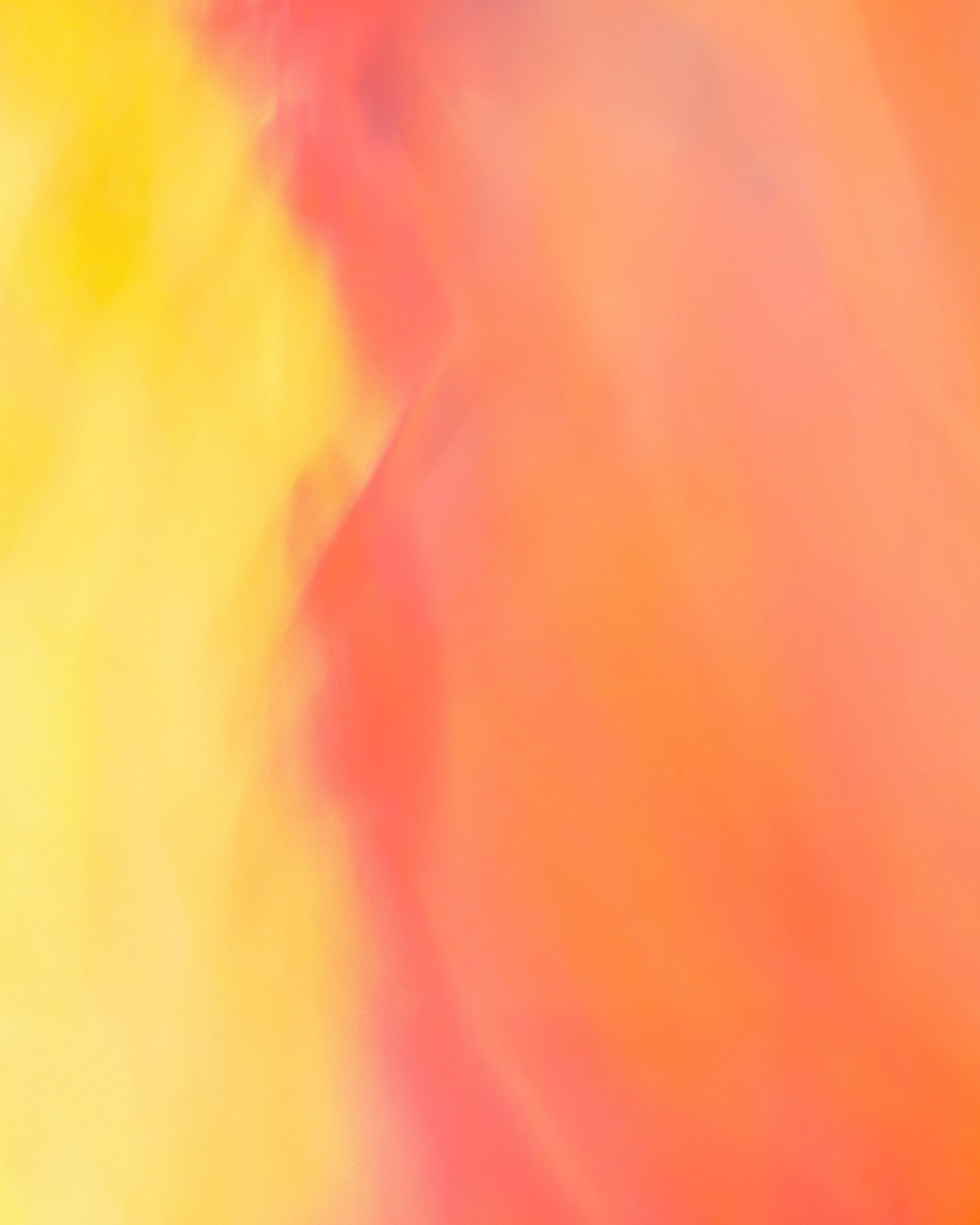 ICM Collection-50.jpg
