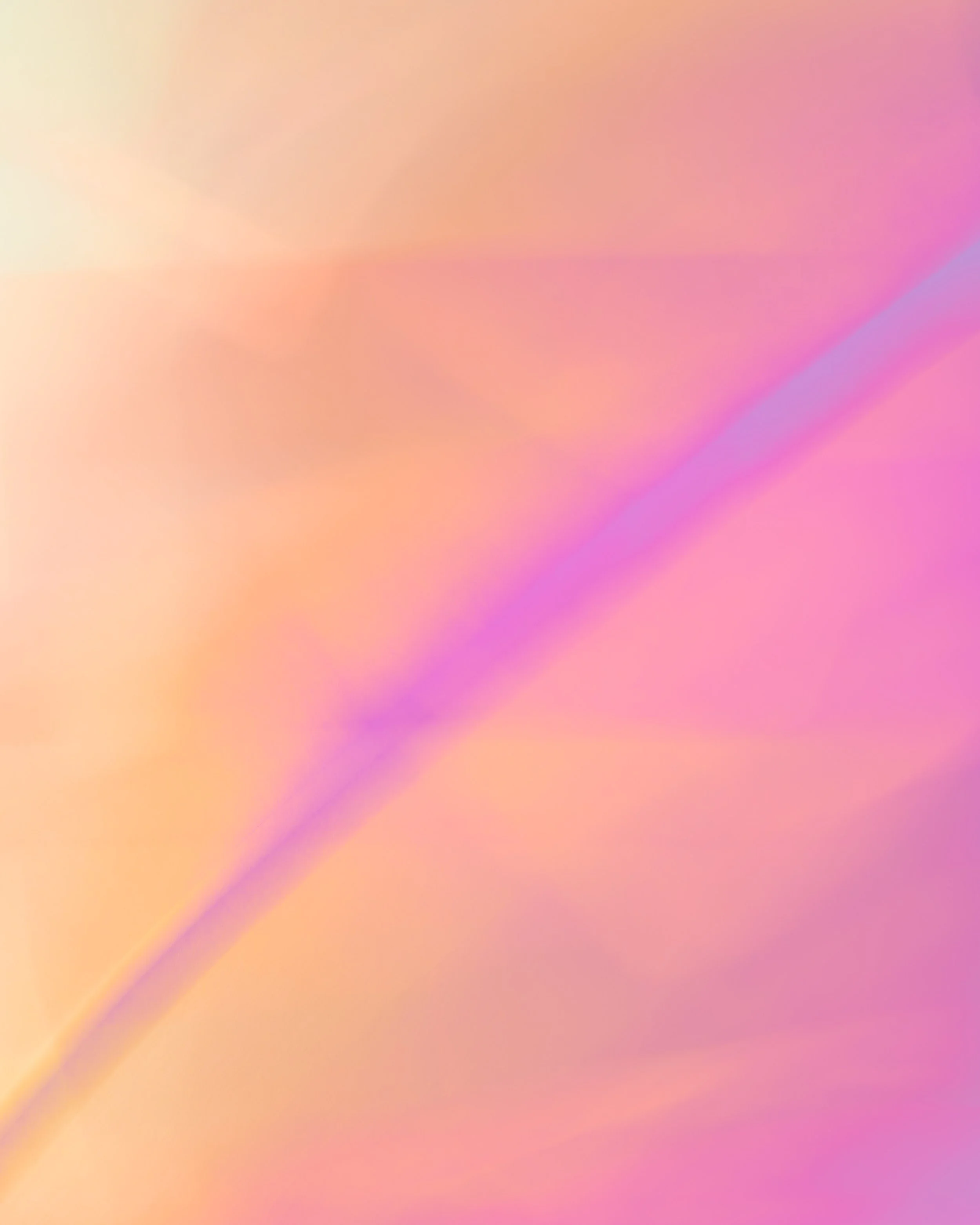 ICM Collection-37.jpg
