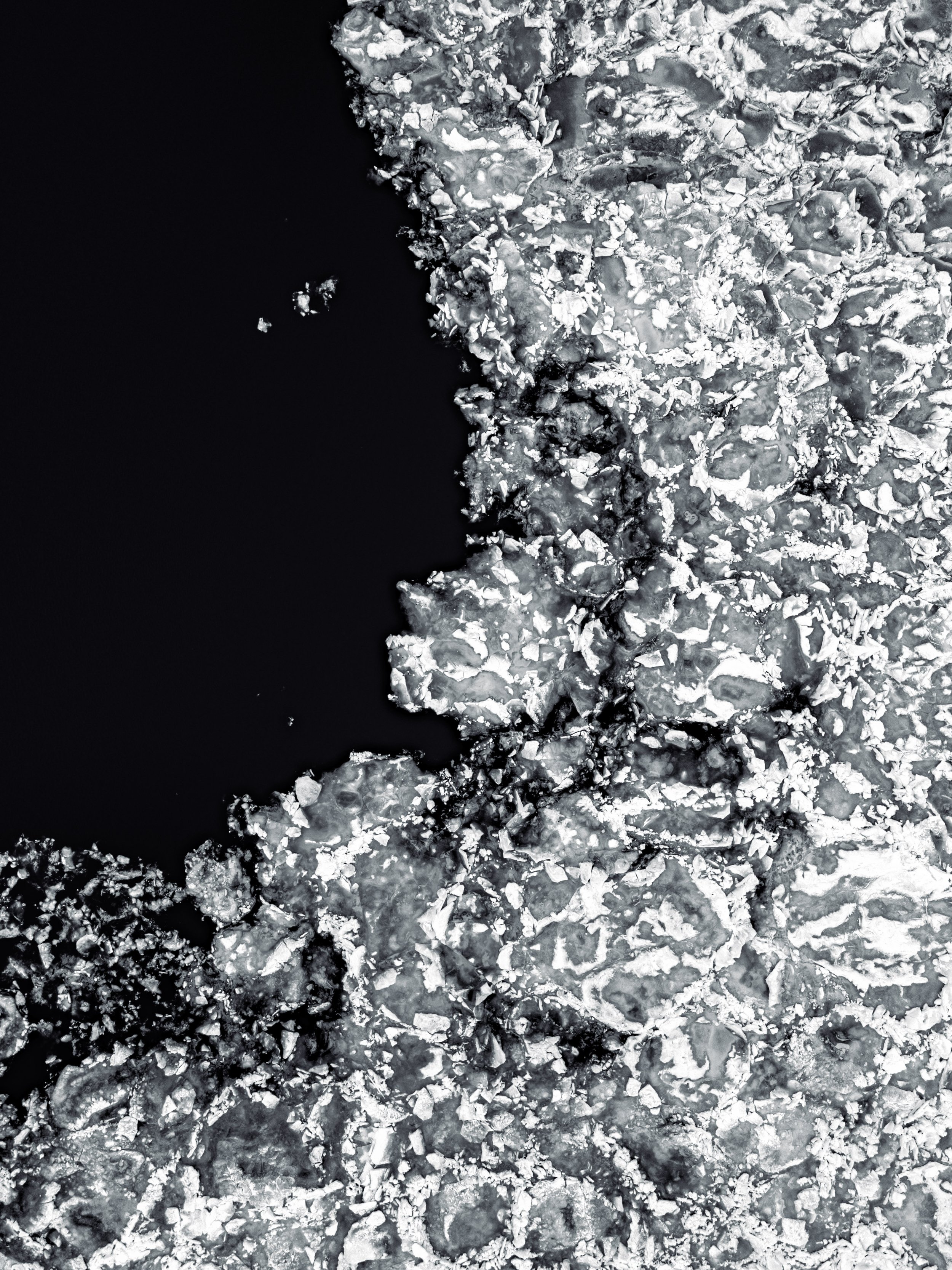 Shores-8.jpg