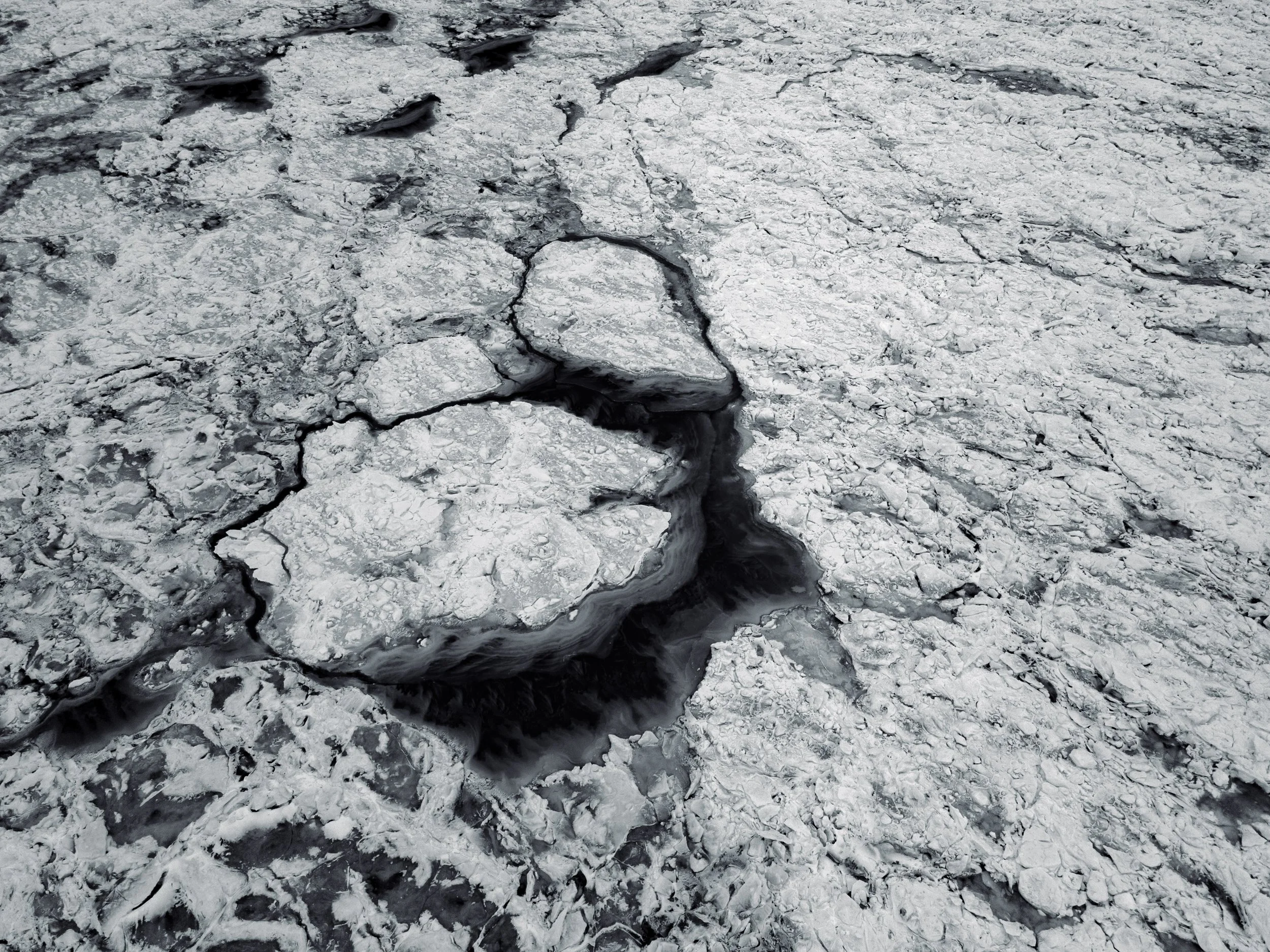 Shores-7.jpg