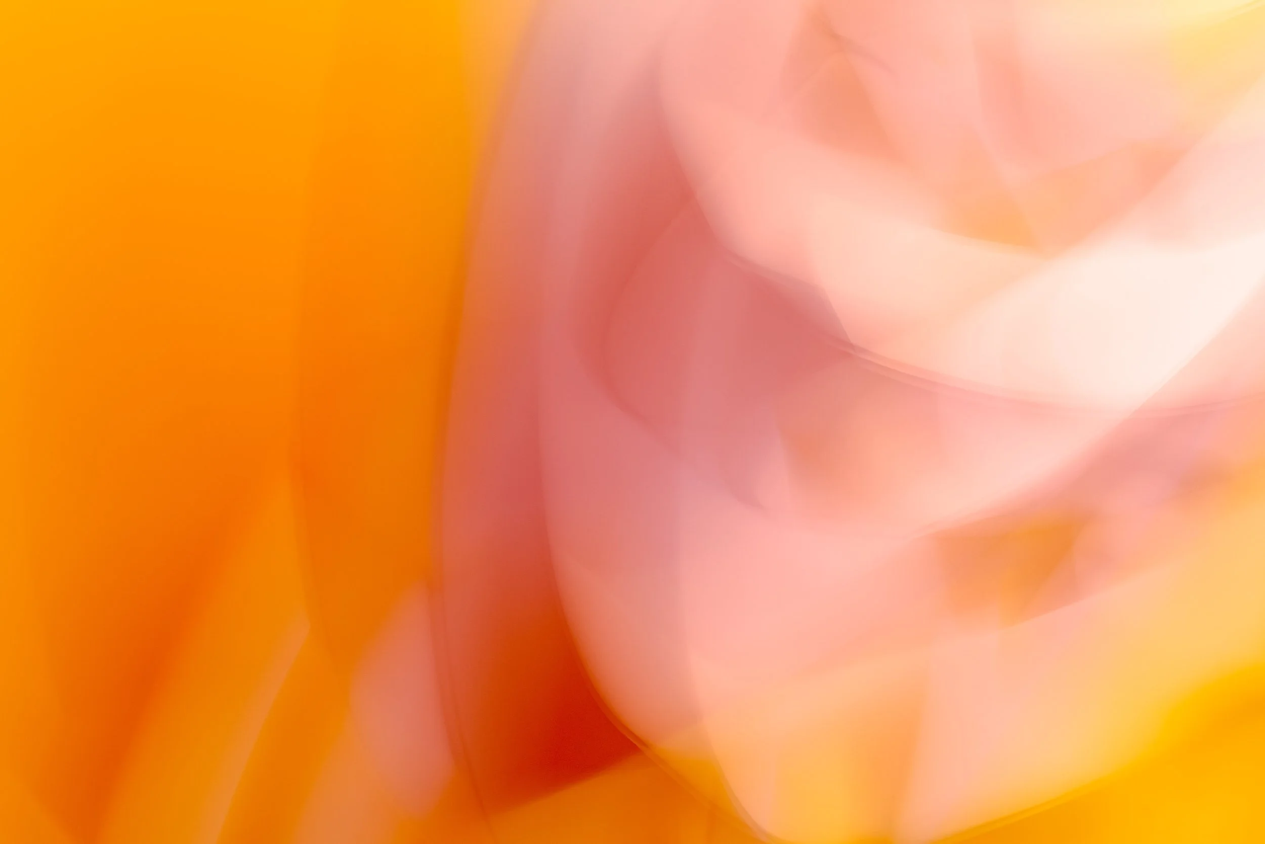 ICM Collection-43.jpg