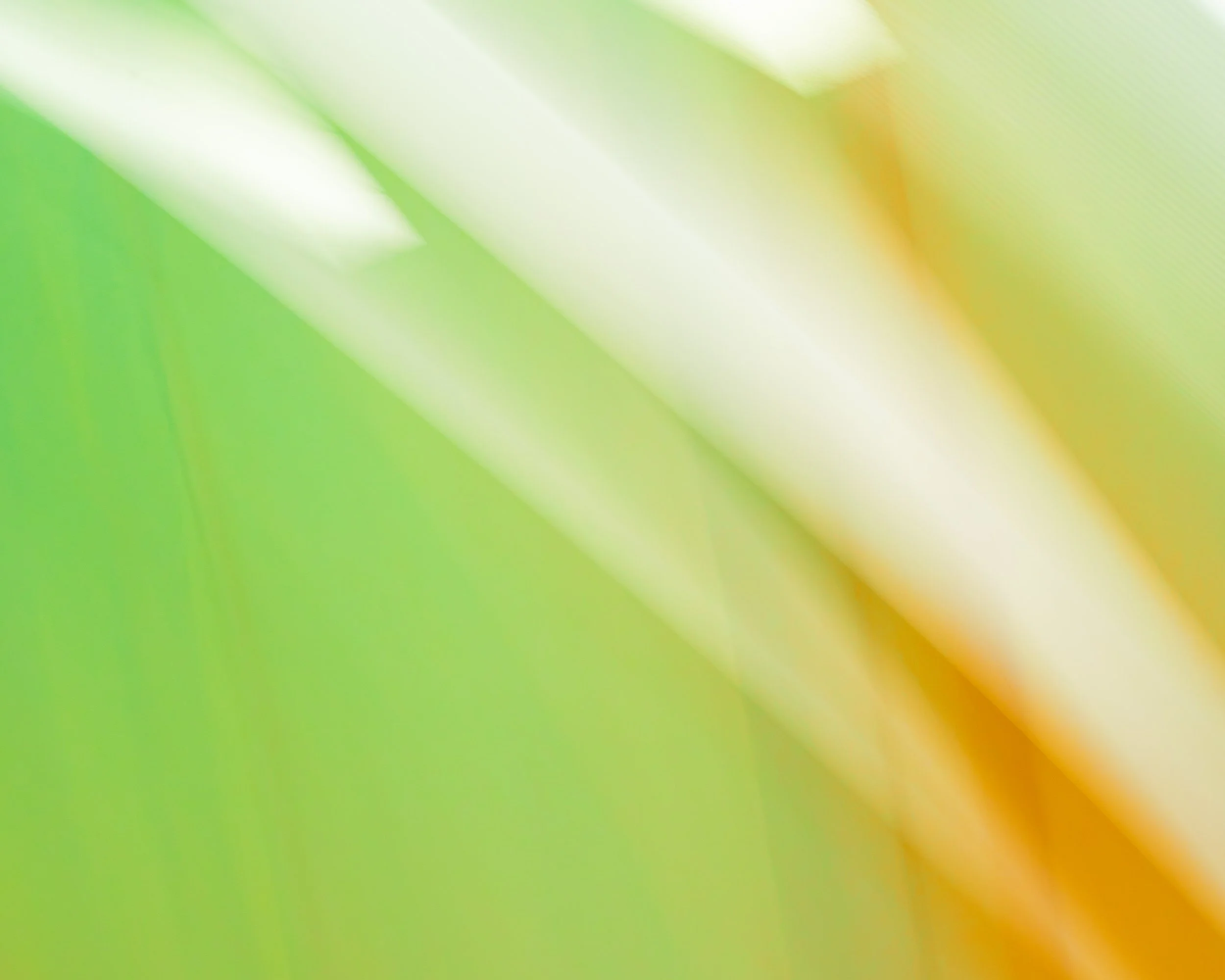 ICM Painterly-6.jpg