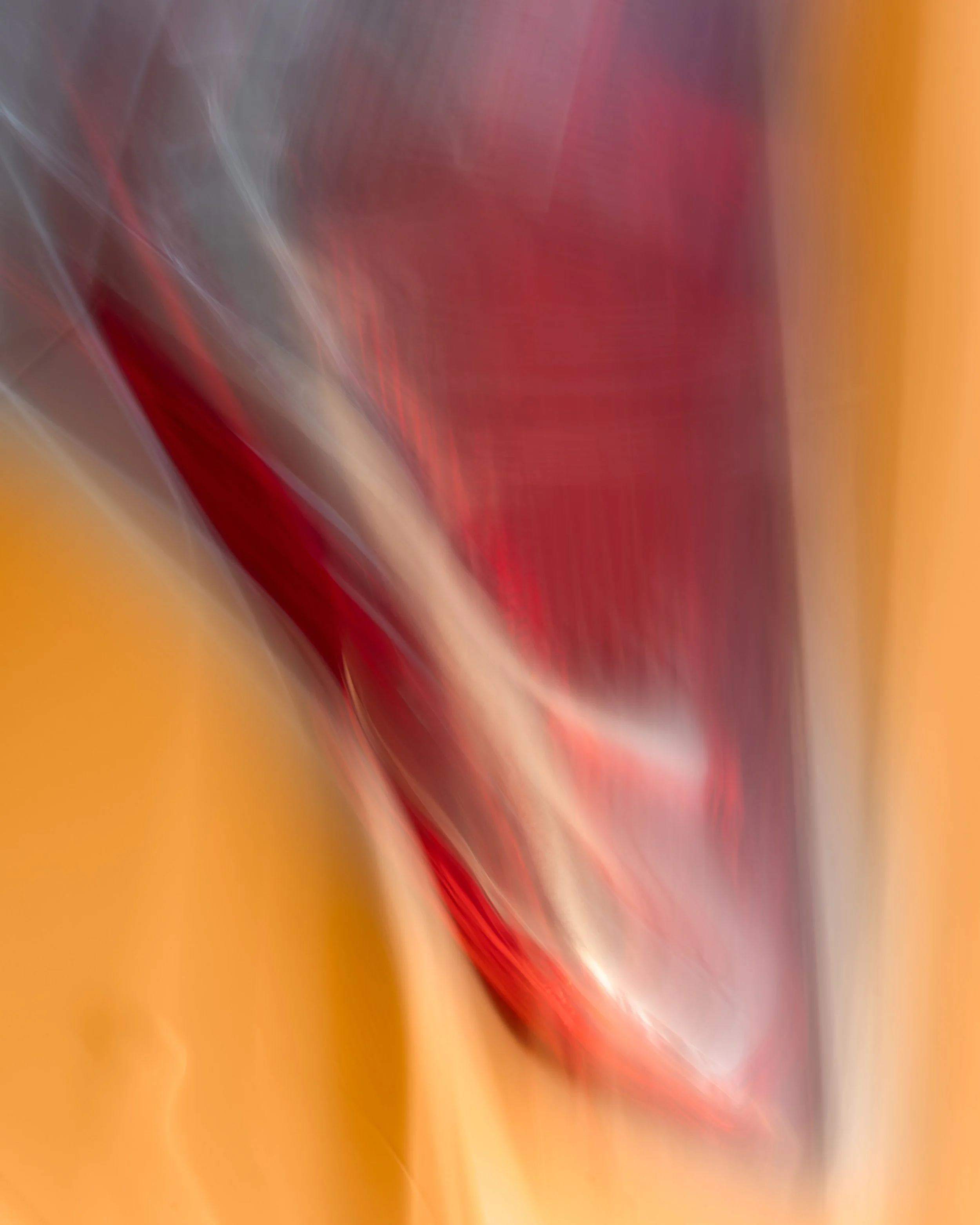 ICM Collection-13.jpg