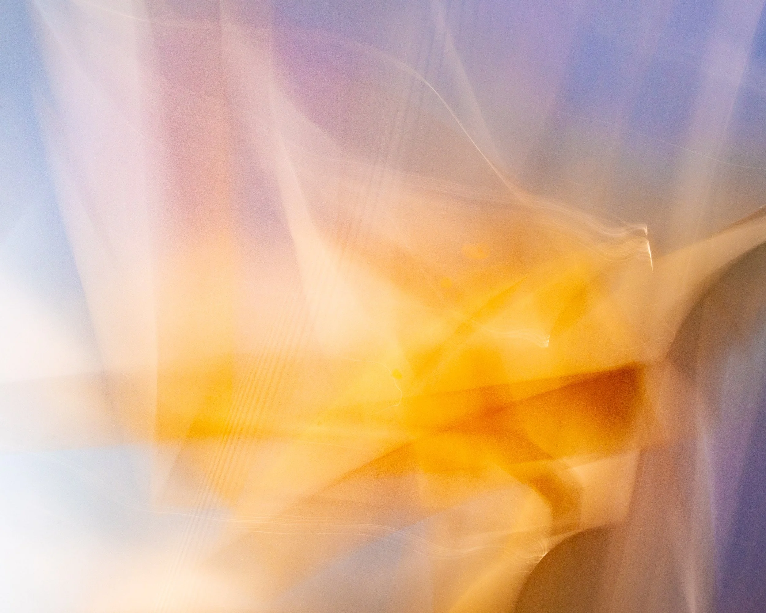 ICM Collection-4.jpg