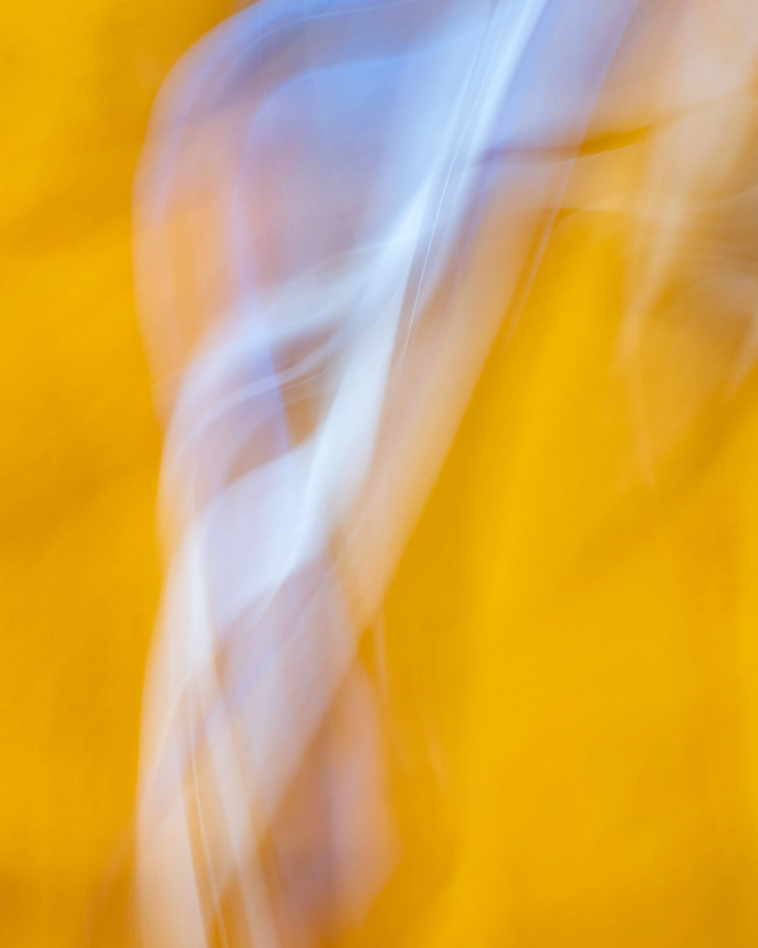 ICM Collection-19.jpg