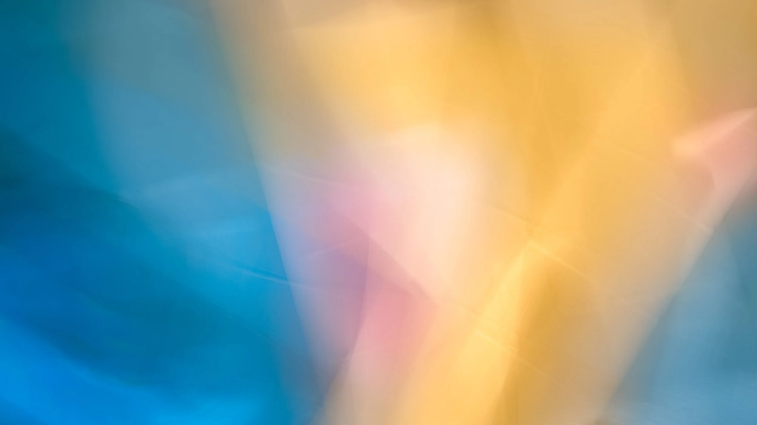 ICM Collection-35.jpg