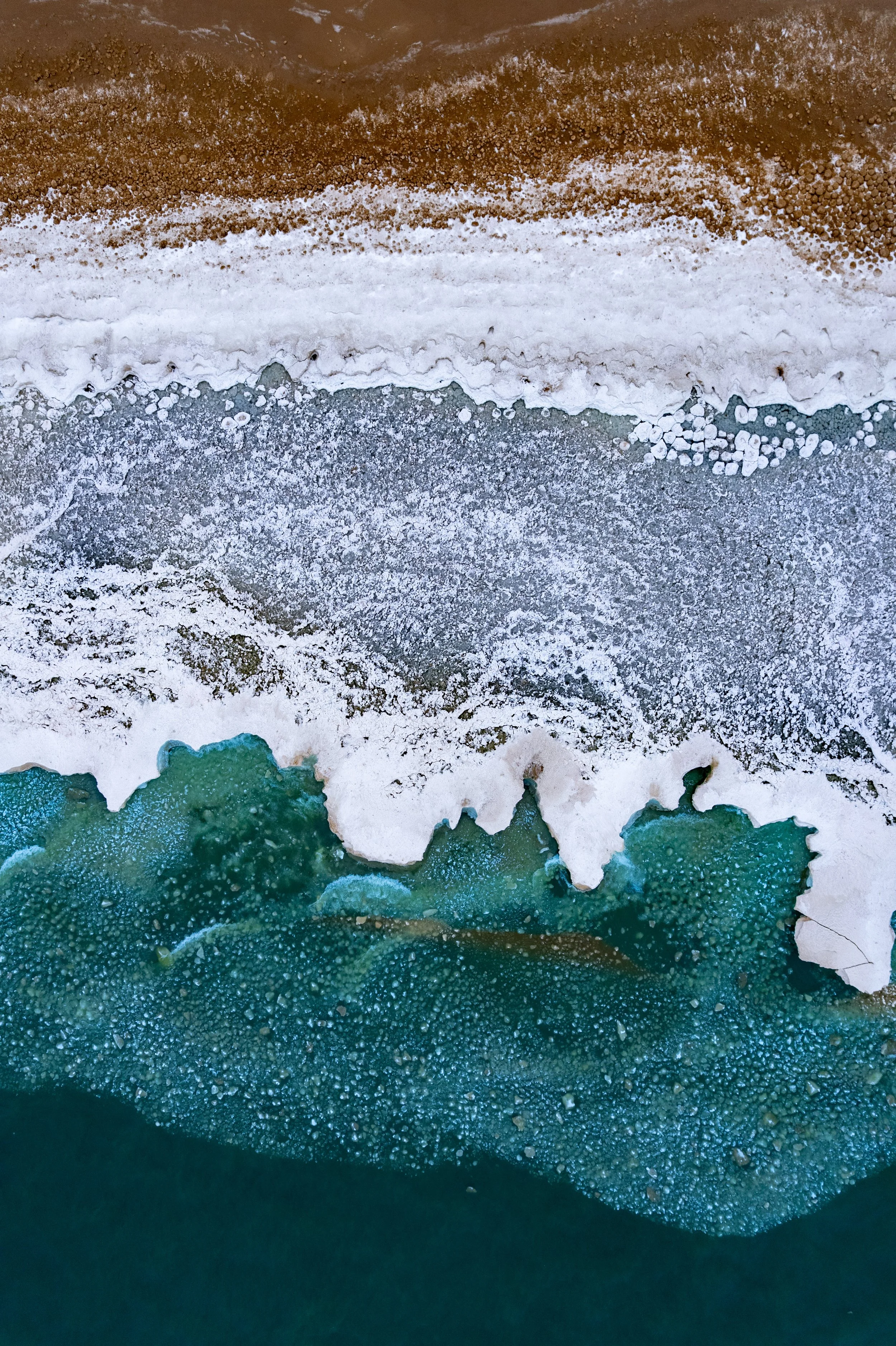 Shores-17.jpg