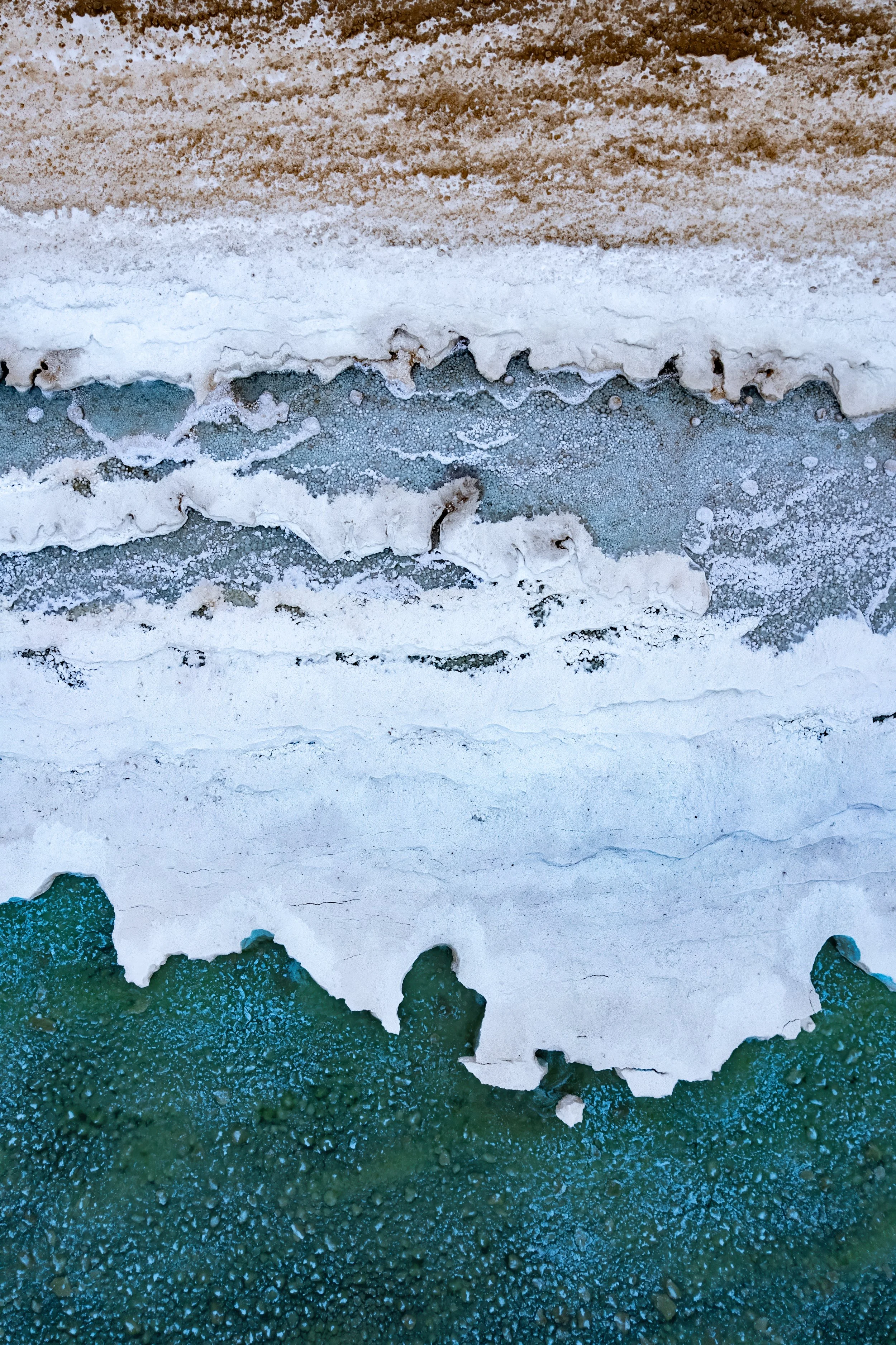 Shores-9.jpg