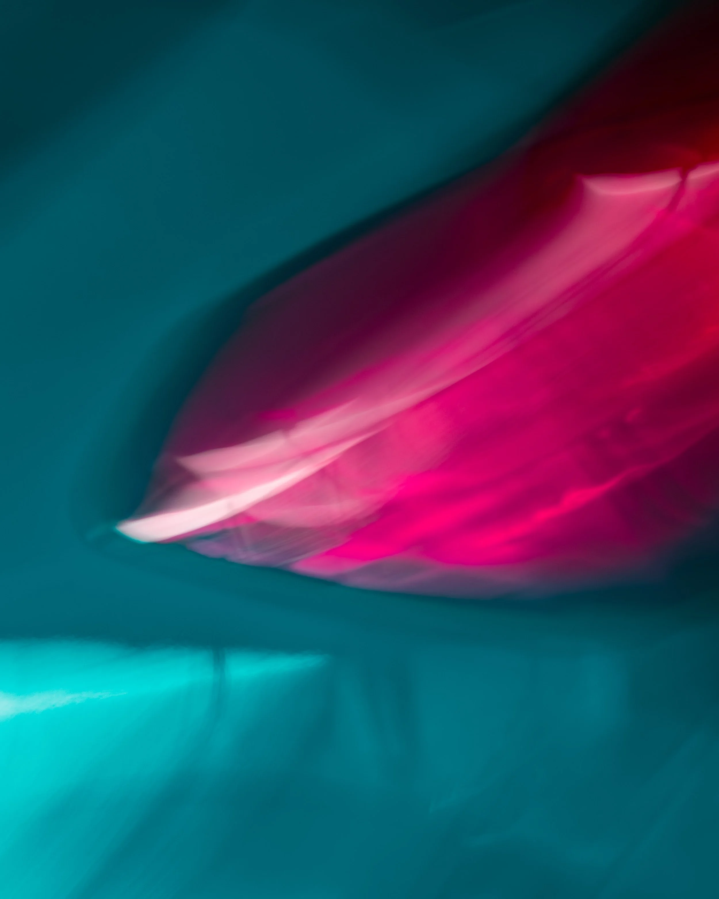 ICM Collection-25.jpg