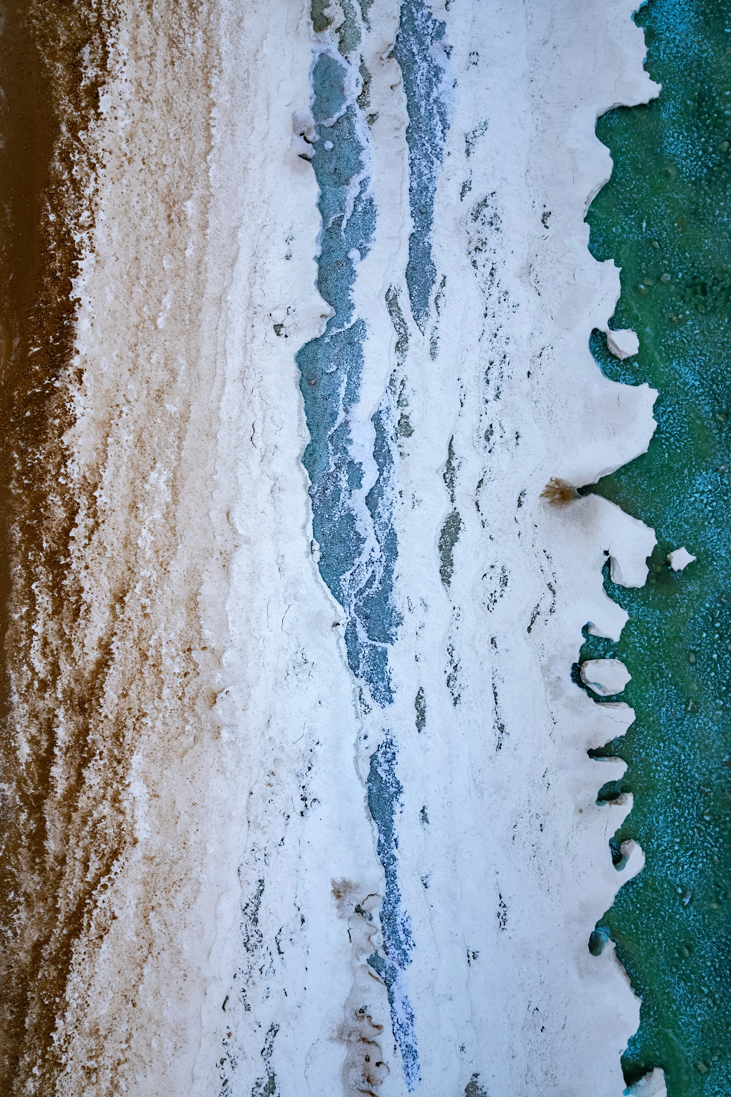 Shores-10.jpg