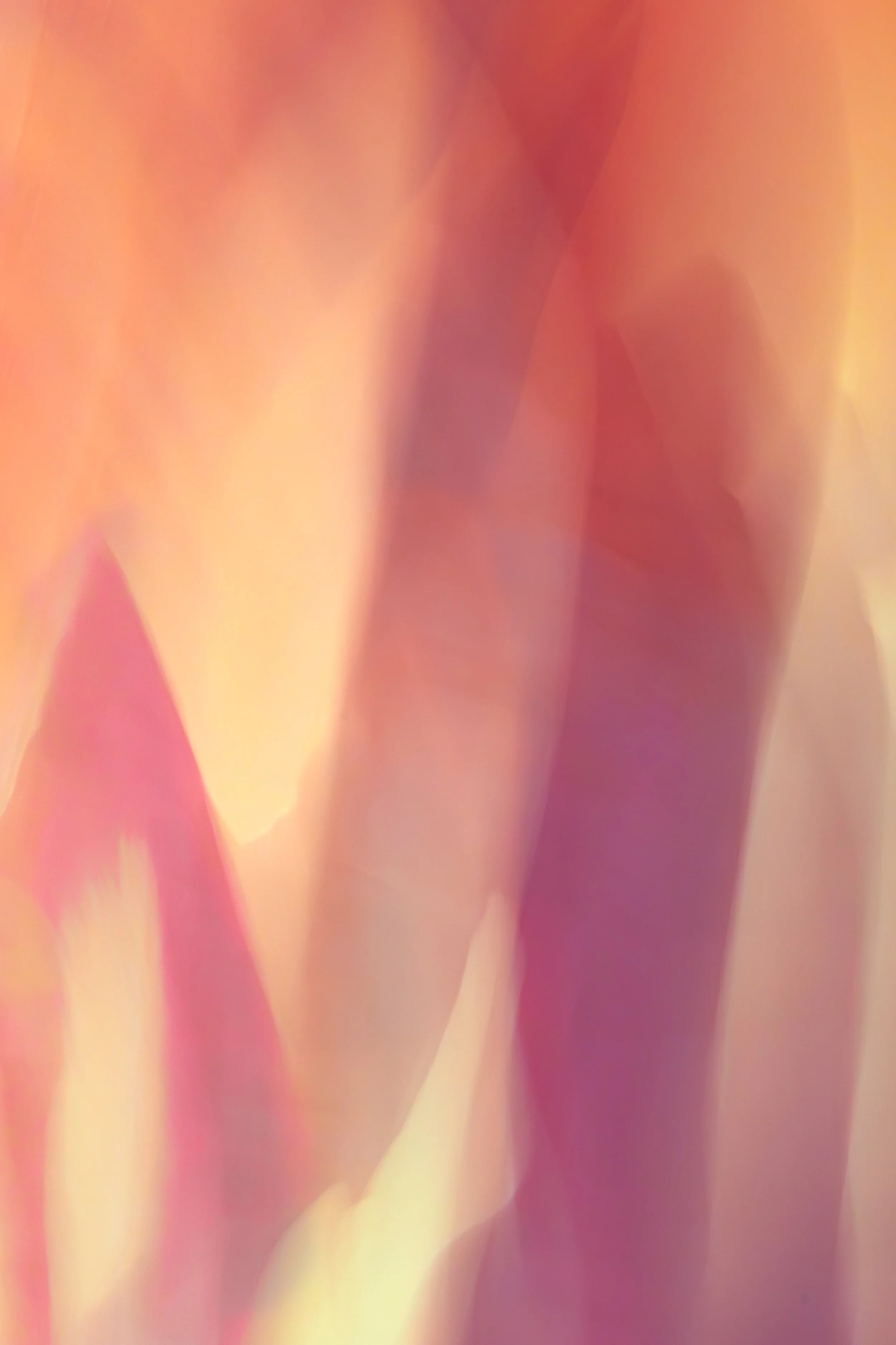ICM Collection-46.jpg