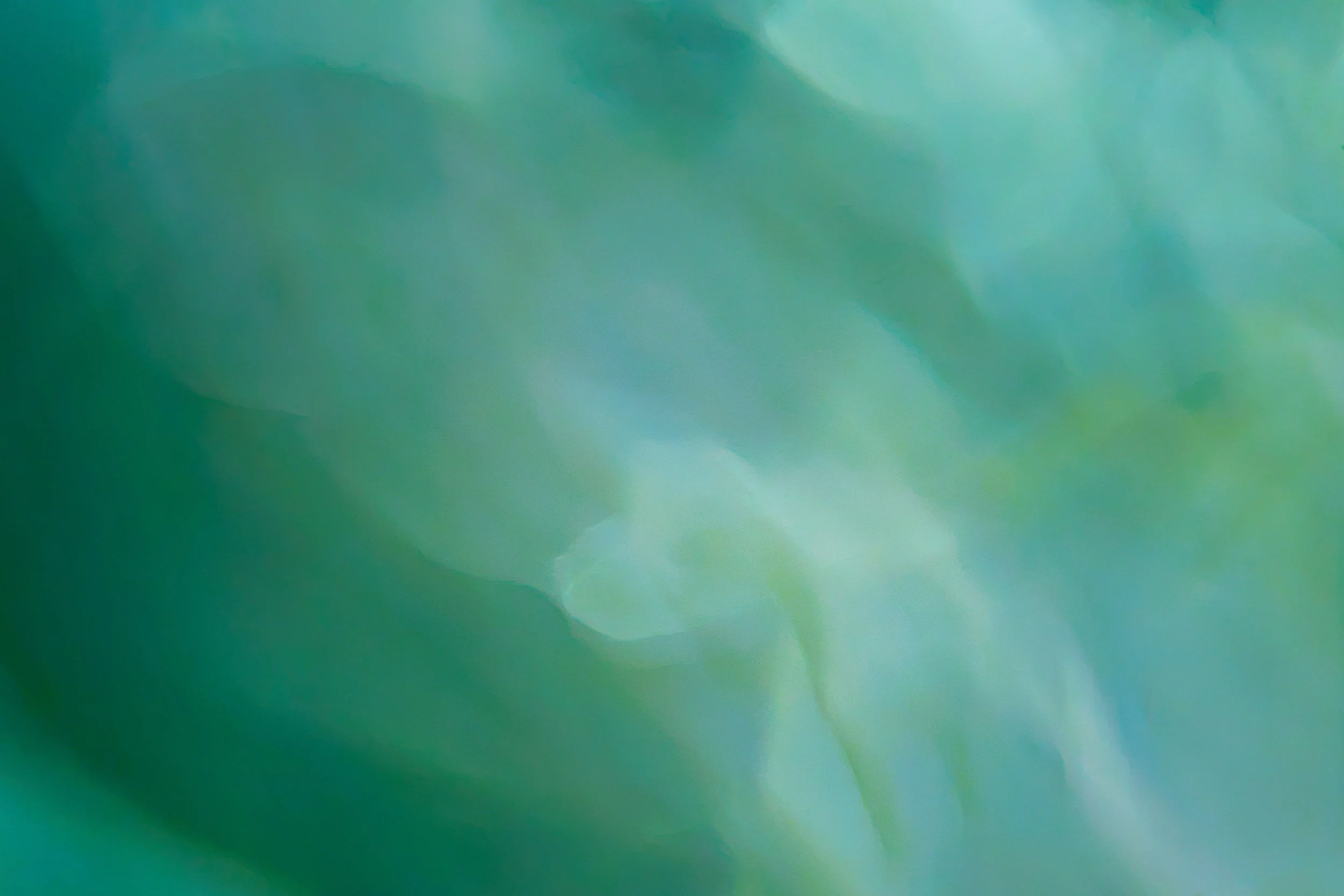 ICM Collection-53.jpg