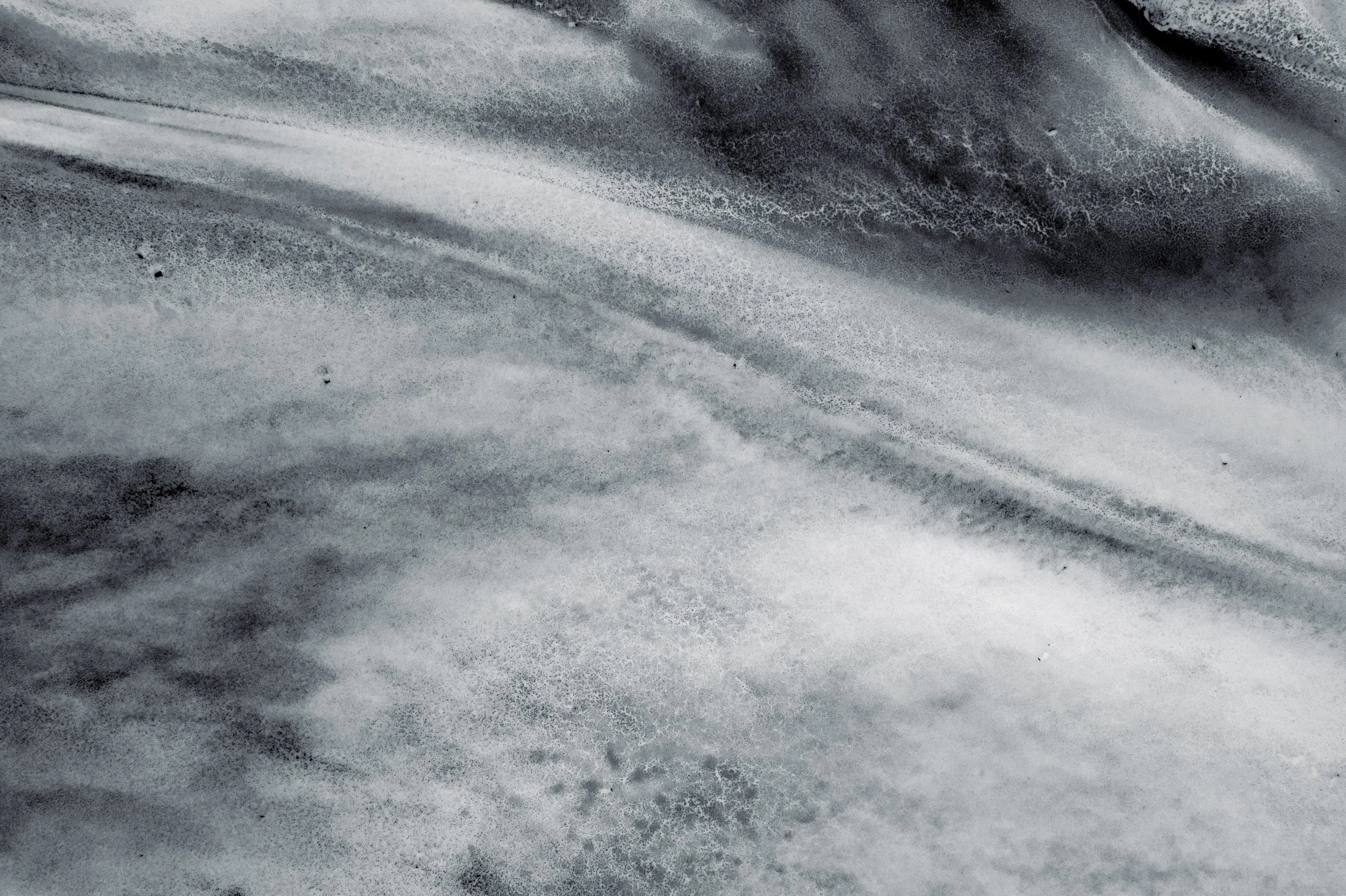 Shores-13.jpg
